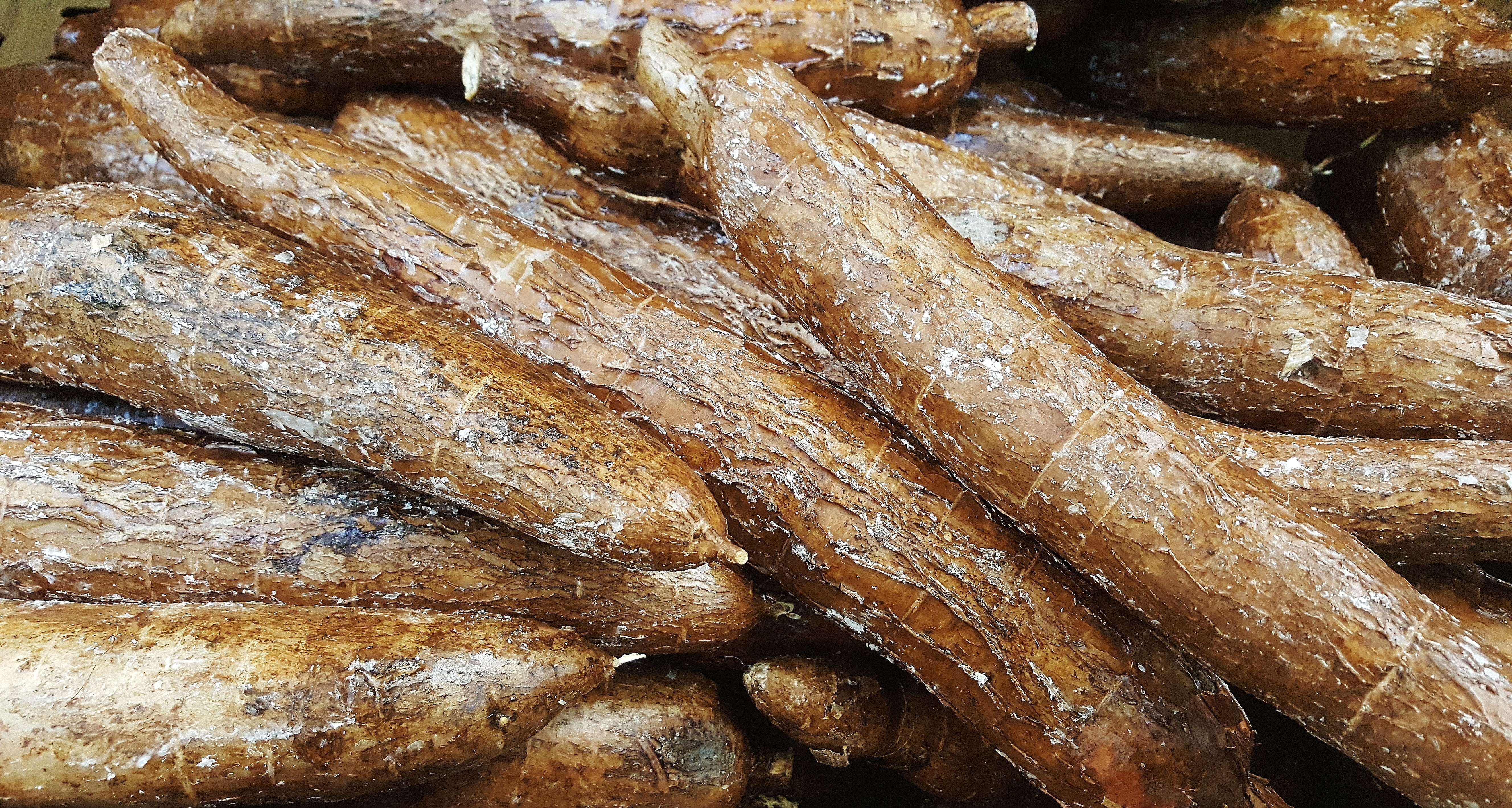 high angle view, manioc, seafood, full frame, vegetable, abundance, close-up, harvest, healthy eating, for sale, retail, brazilian arrowroot, freshness, HD Wallpaper