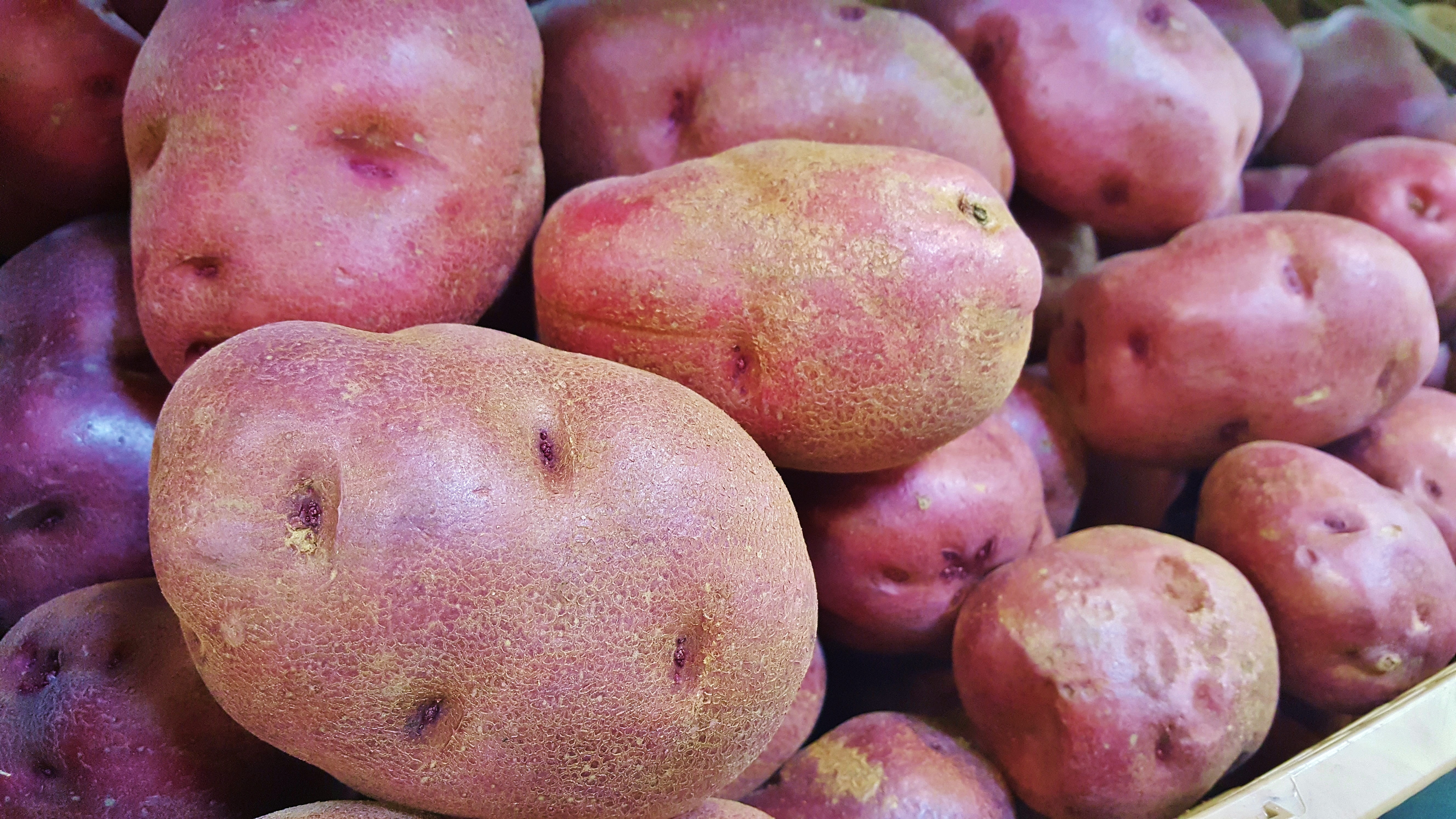 abundance, food and drink, wellbeing, large group of objects, high angle view, 5K, close-up, market, produce, grocery, harvest, eyes, backgrounds, day, HD Wallpaper