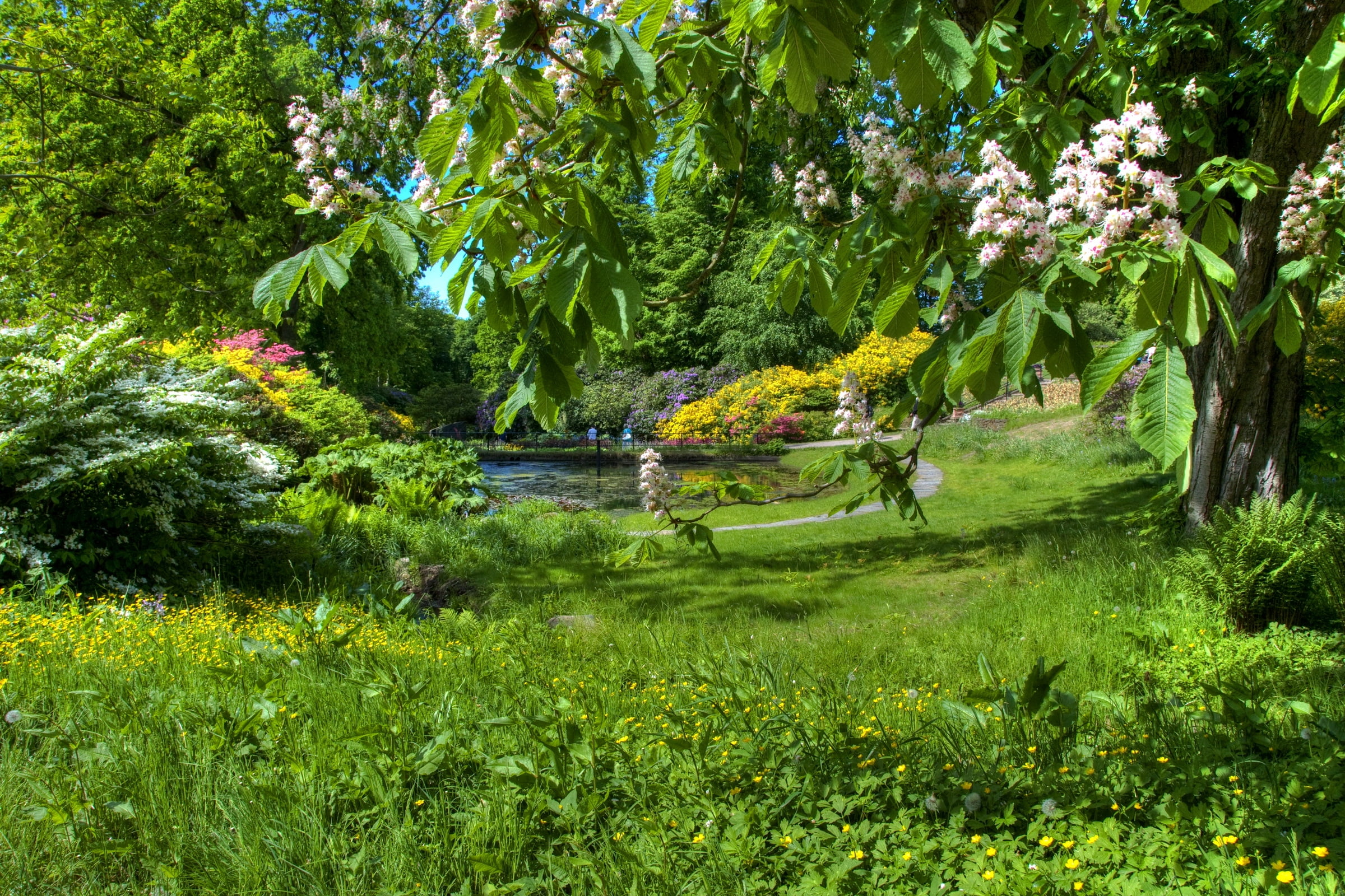 garden, tranquil Scene, park, leaf, formal Garden, day, relaxation, springtime, green Color, scenics, river, grass, bush, tranquility, nature, summer, lush foliage, HD Wallpaper