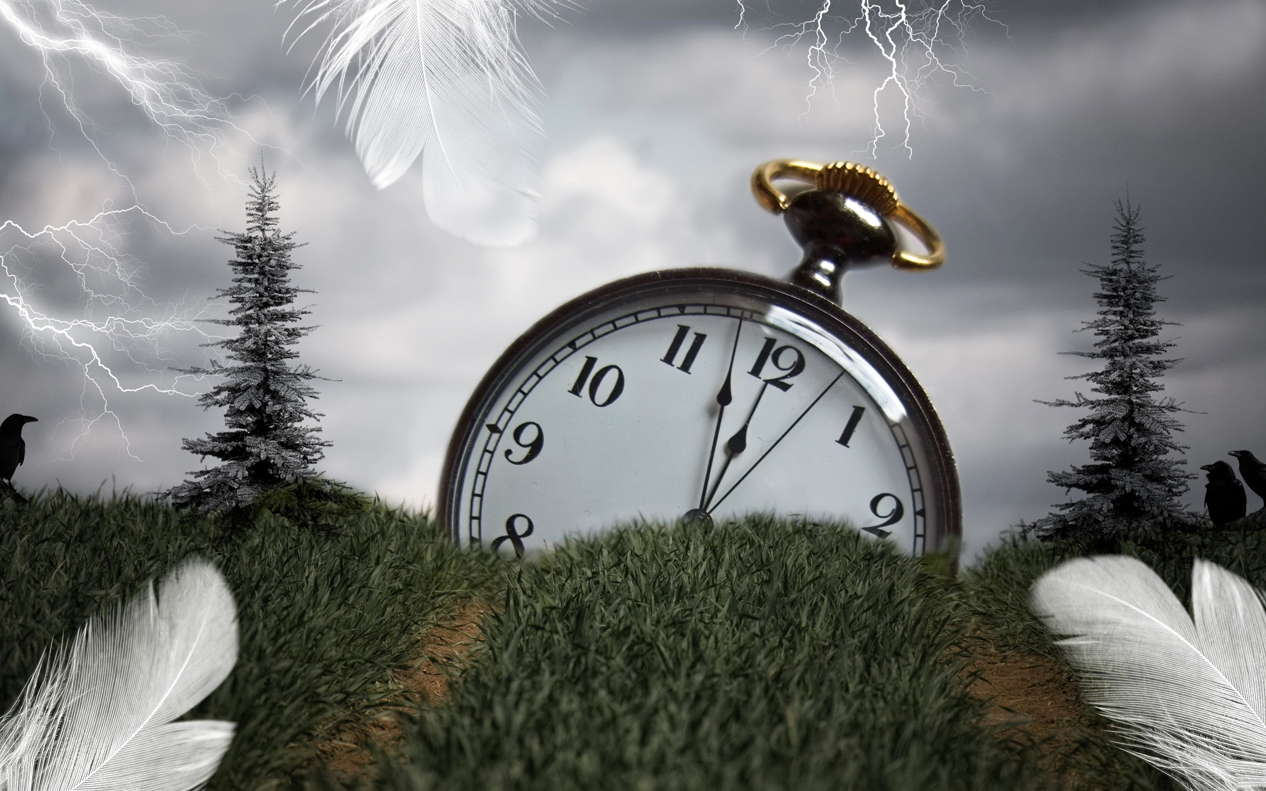 style, 2K, watch, grass, installation, pocket, digital, time, feathers, silver, HD Wallpaper
