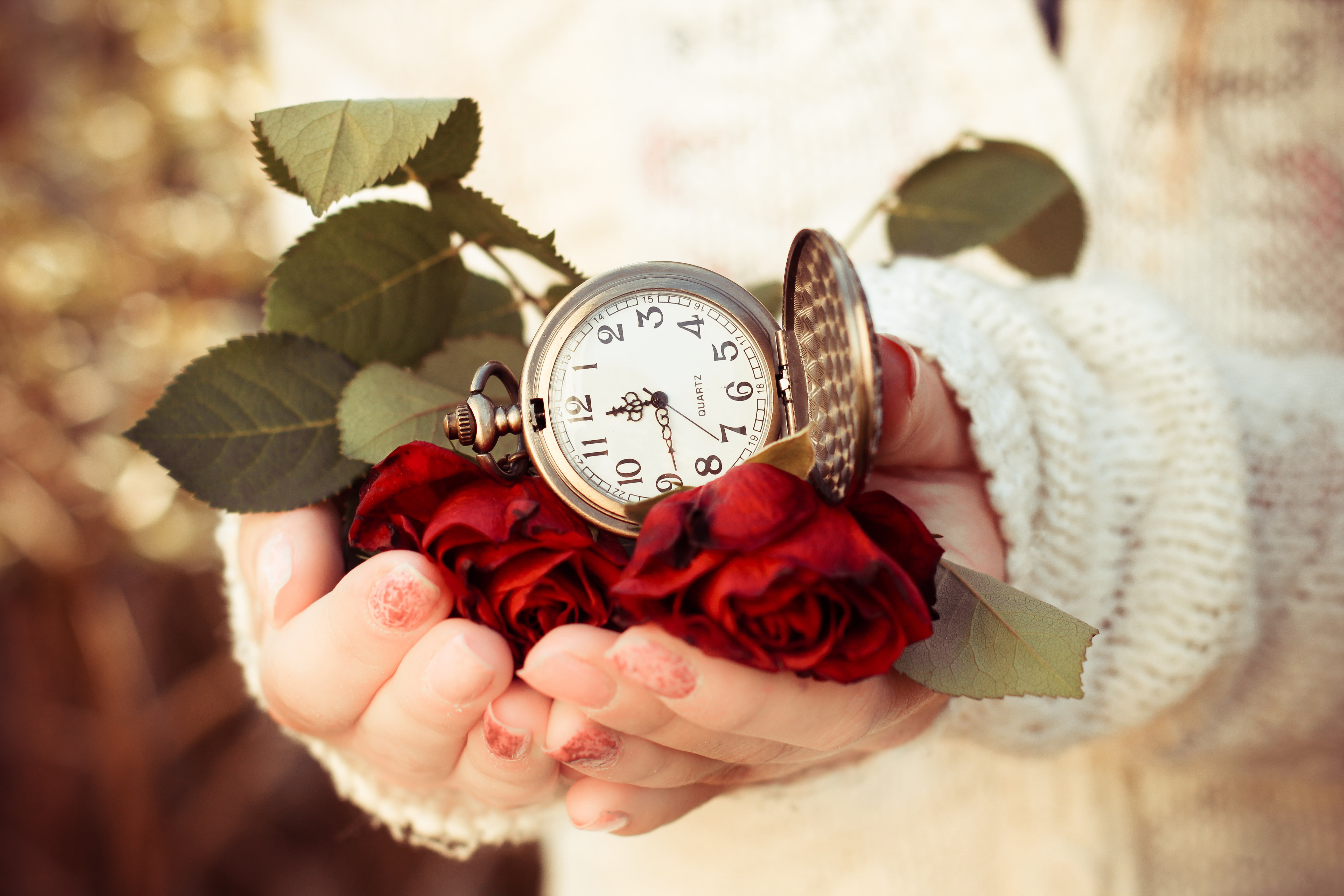 leaves, time, watch, roses, sweater, colored, dial, hands, 5K, pocket, gold, answers, HD Wallpaper