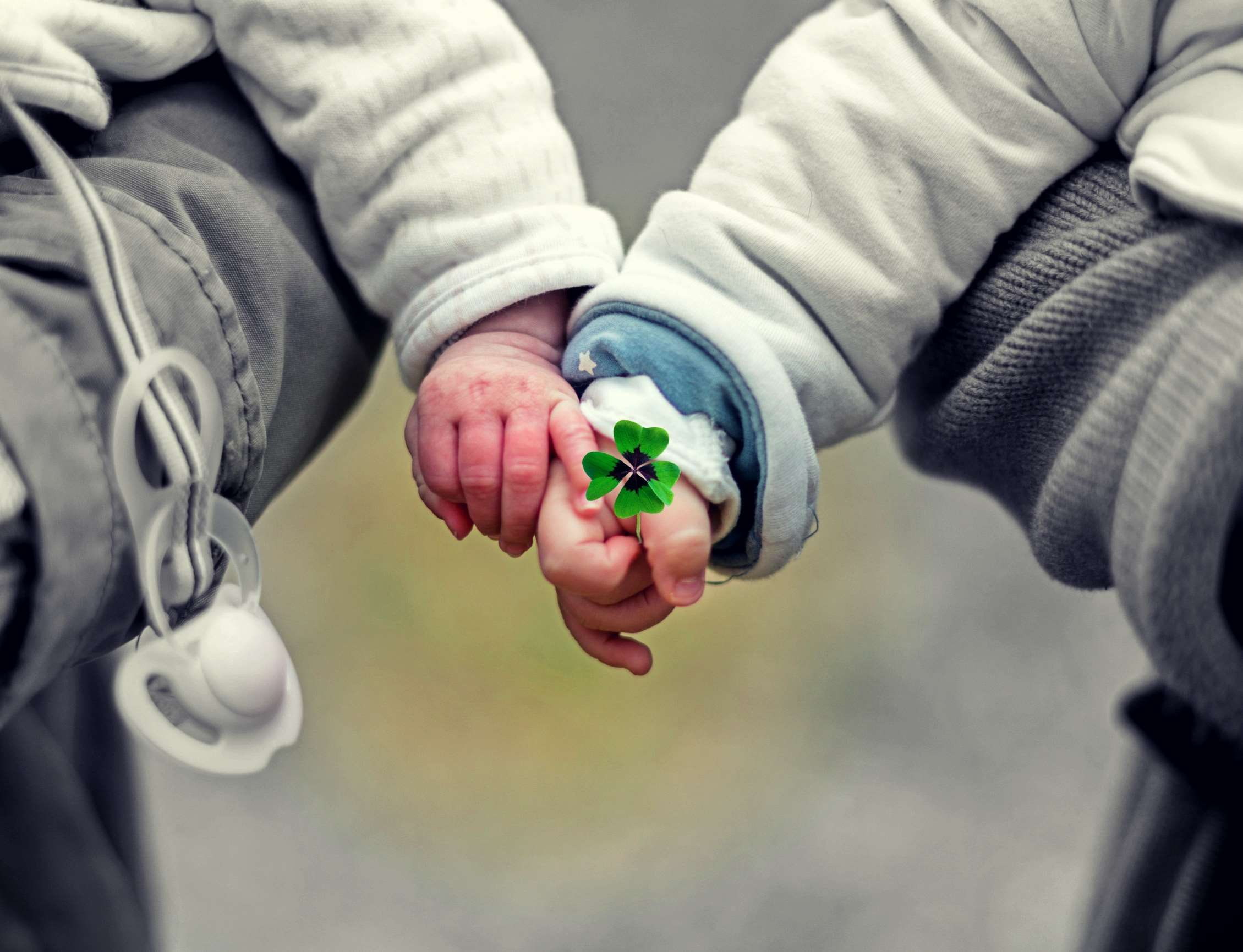 human hand, holding, friends, emotion, four leaf clover, 1080P, community, bonding, positive emotion, hand giving, friendship, flower, males, cute, togetherness, HD Wallpaper
