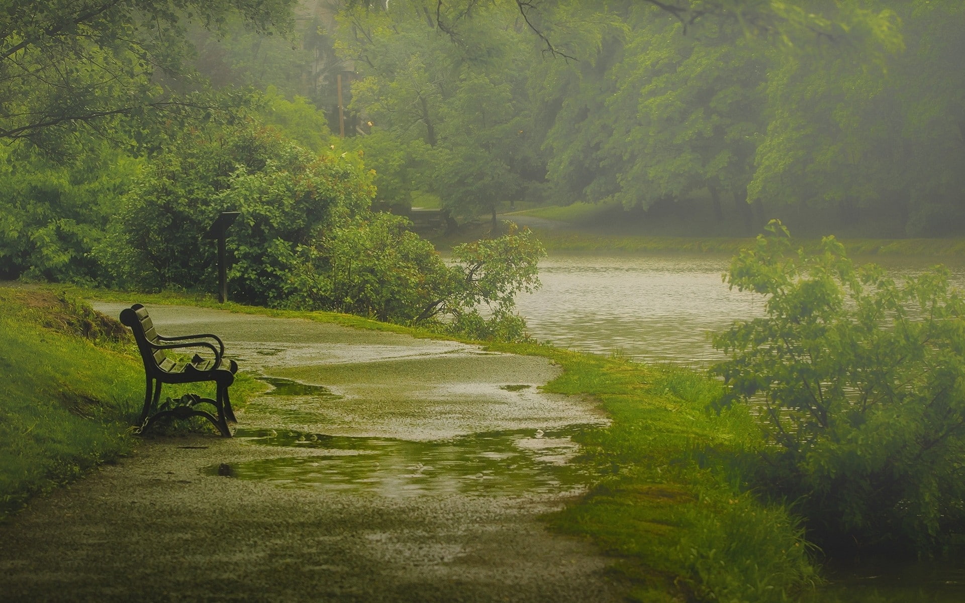 park, nature, lake, green, rain, path, 1080P, bench, HD Wallpaper
