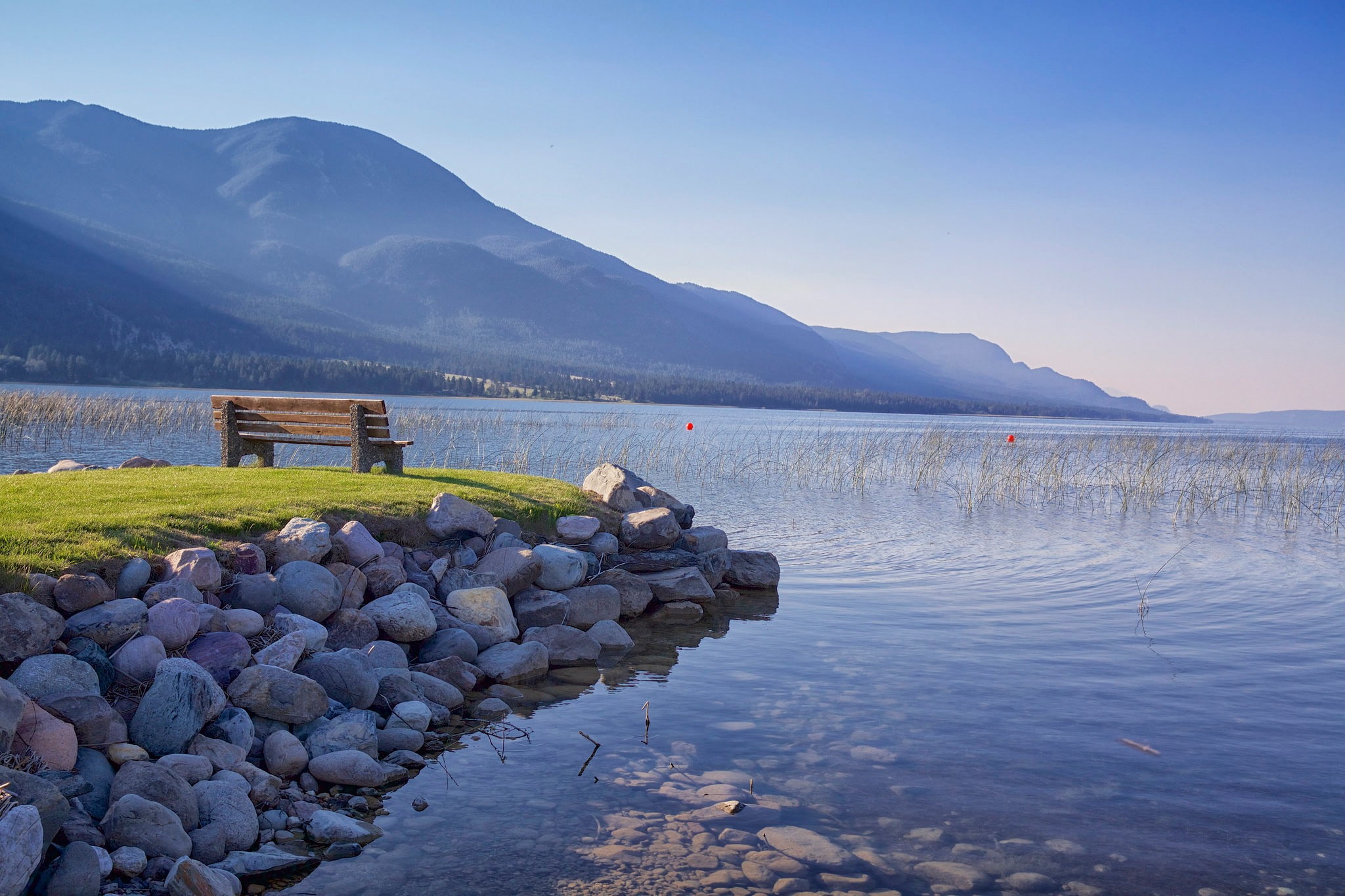 nature, lake, bench, 1080P, HD Wallpaper