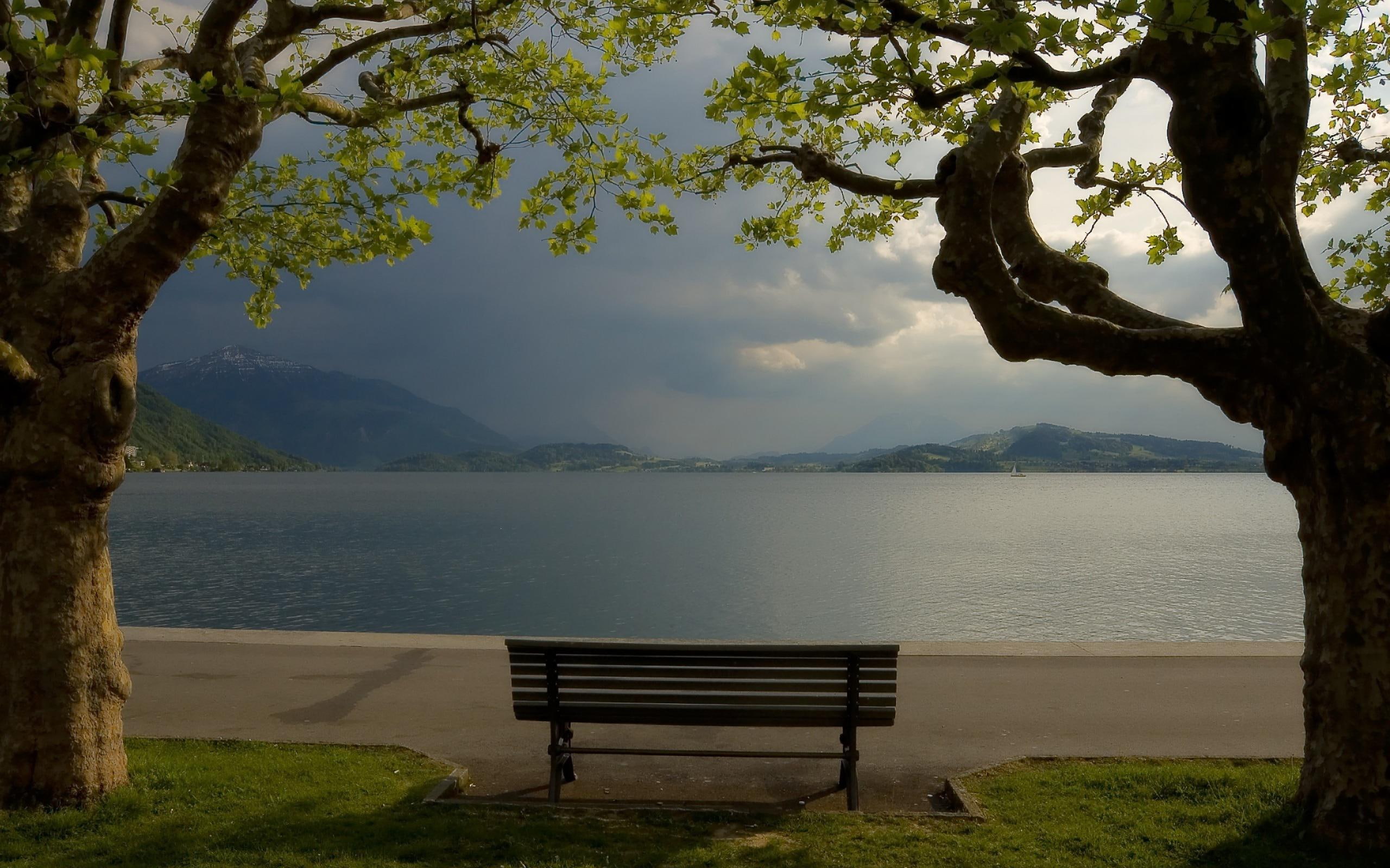 lake, park, cloudy, nature, bench, 2K, HD Wallpaper