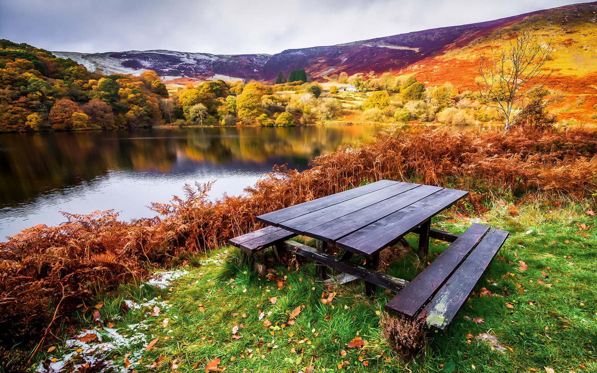 lake, 1080P, landscape, nature, table, bench, HD Wallpaper