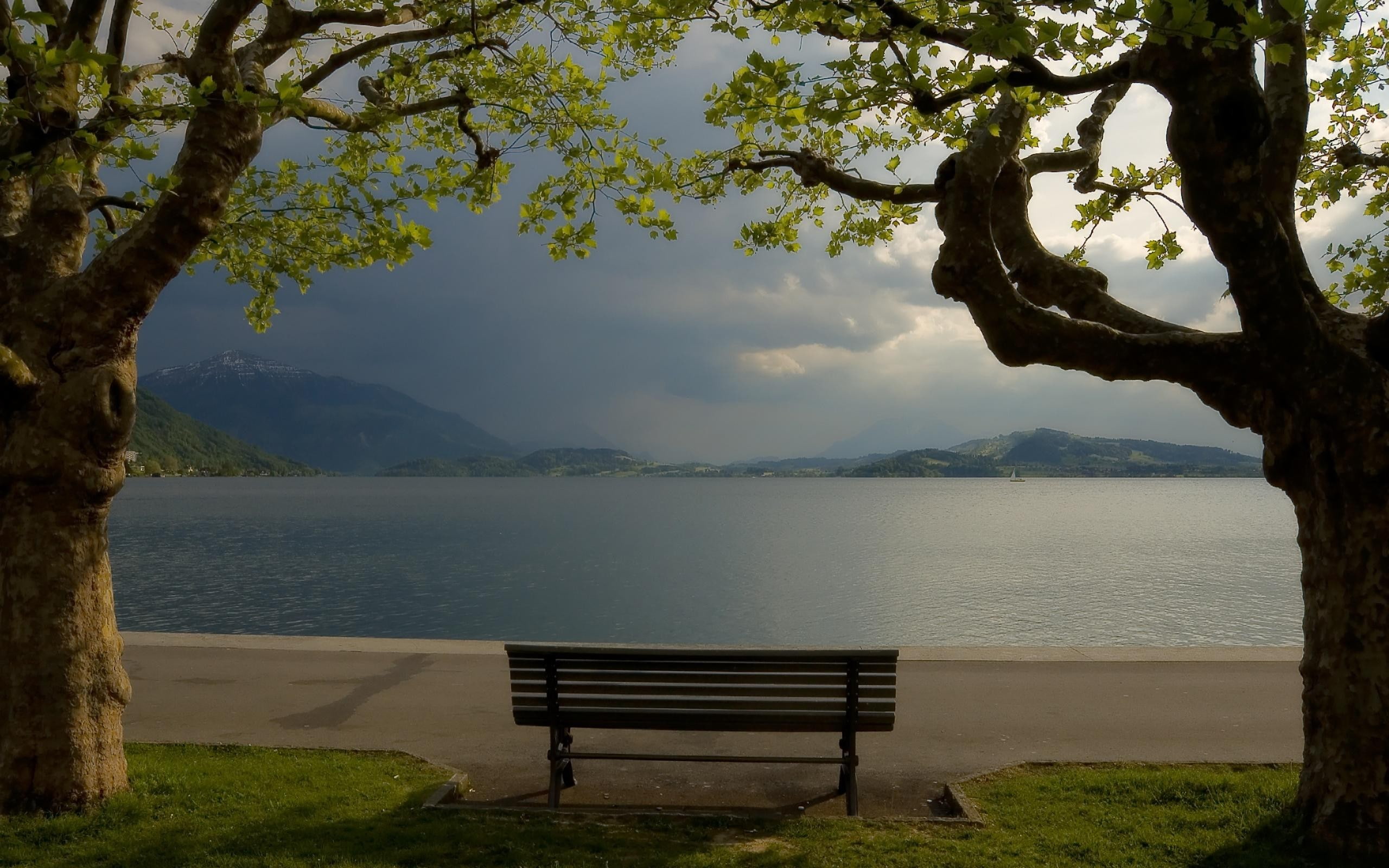 tranquility, 2K, mountain, scenics - nature, trunk, water, bench, tree trunk, growth, tranquil scene, beauty in nature, sky, empty, tree, outdoors, lake, HD Wallpaper