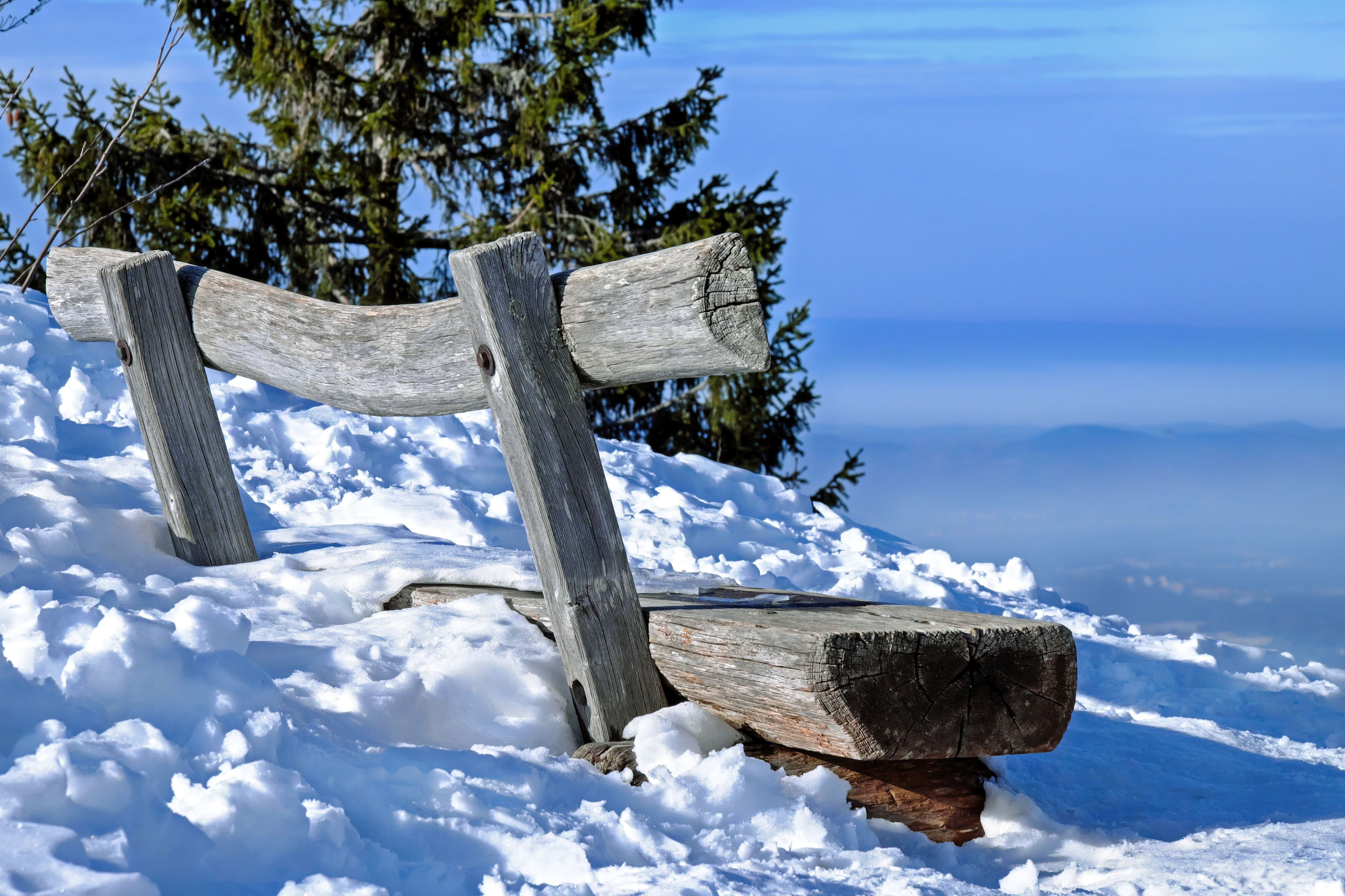 sky, snowy, cold temperature, tranquility, tranquil scene, blue, plant, wintry, winter, day, snow, nature, frozen, beauty in nature, near, scenics - nature, HD Wallpaper