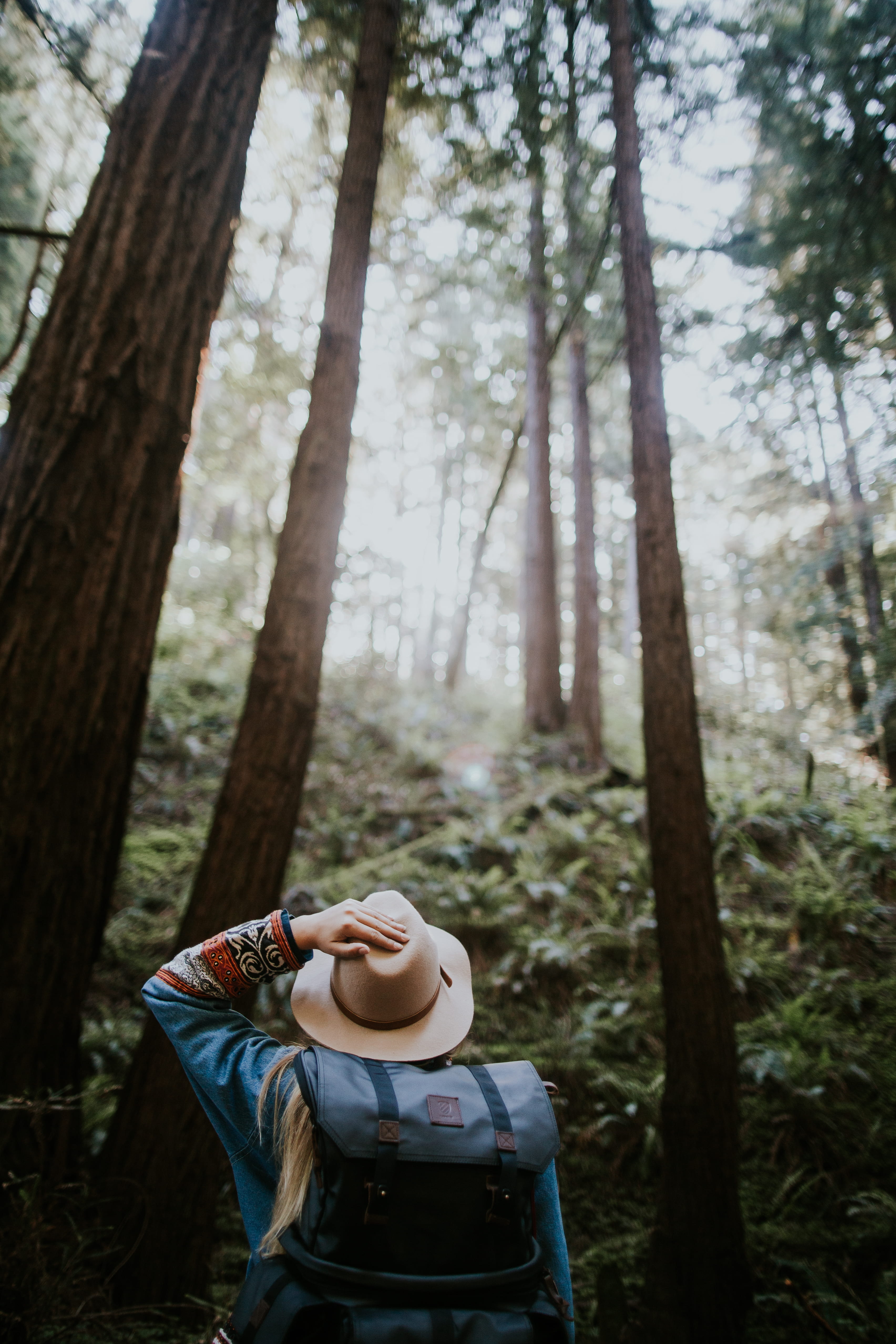 adult, land, nature, muir national forest, woman, beside, lifestyles, standing, women, tall, top, leisure activity, young adult, woodland, californium, Phone HD Wallpaper