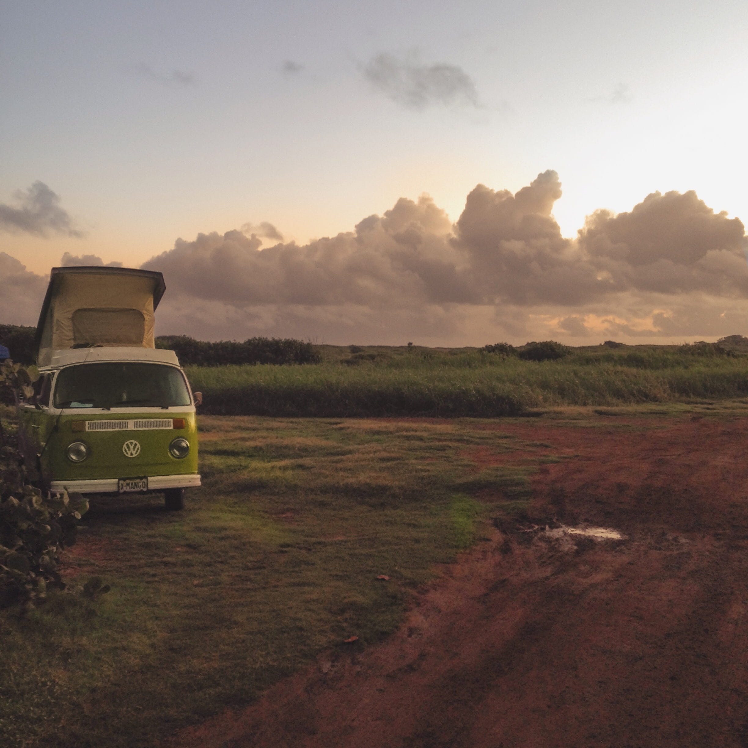 field, transportation, outdoors, volkswagen, scenics - nature, car, united states, beach, land vehicle, nature, camping, land, 1080P, vw, landscape, sunset, Phone HD Wallpaper