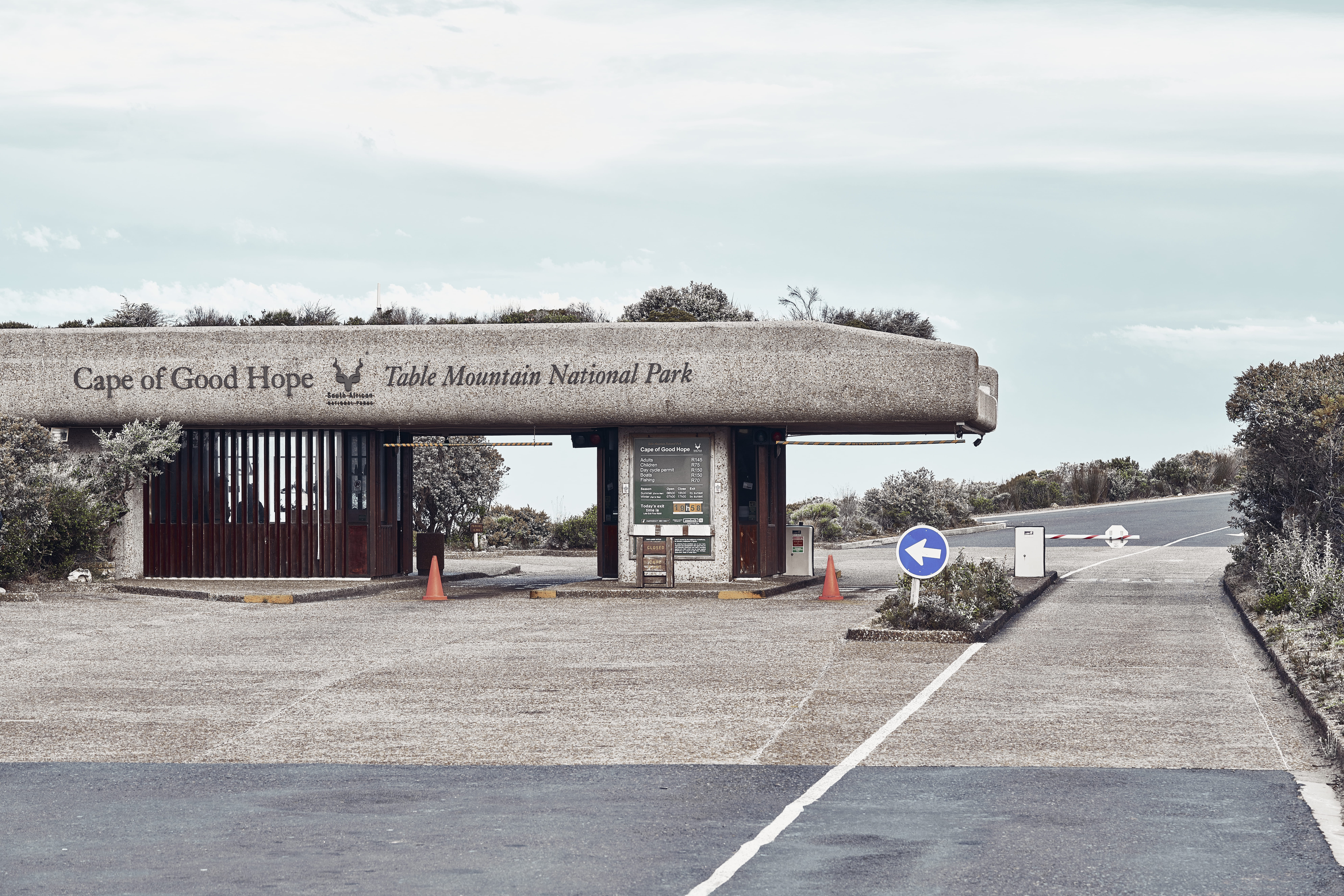 south africa, plant, tree, nature, direction, 8K, architecture, path, marking, wild life, built structure, www.maxlibertine.com, building exterior, cape town, HD Wallpaper