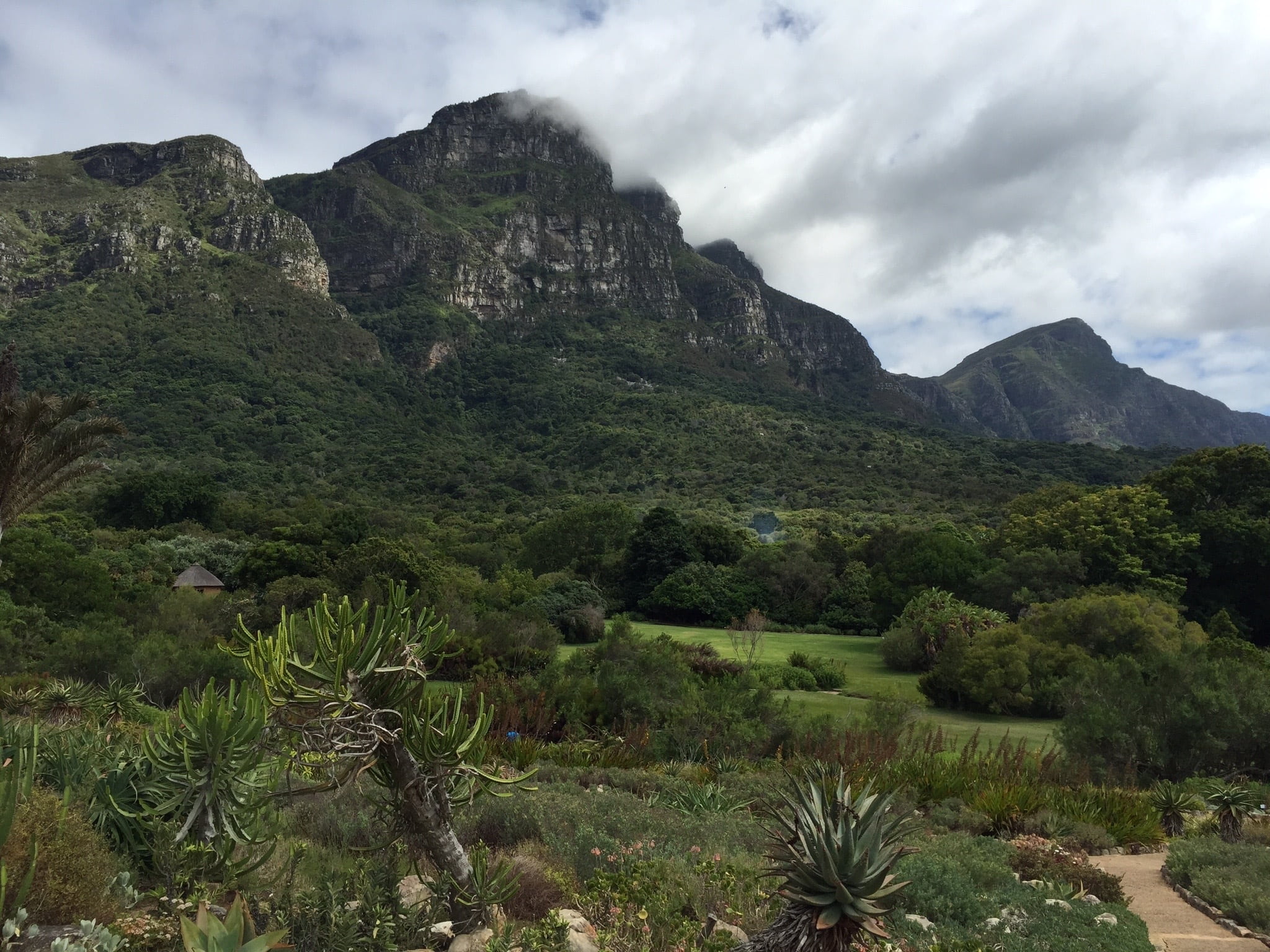 white, cape town, outdoors, botanical, sky, growth, scenics - nature, africa, nature, 1080P, mountain peak, land, mountain, natural, colorful, mountain range, HD Wallpaper