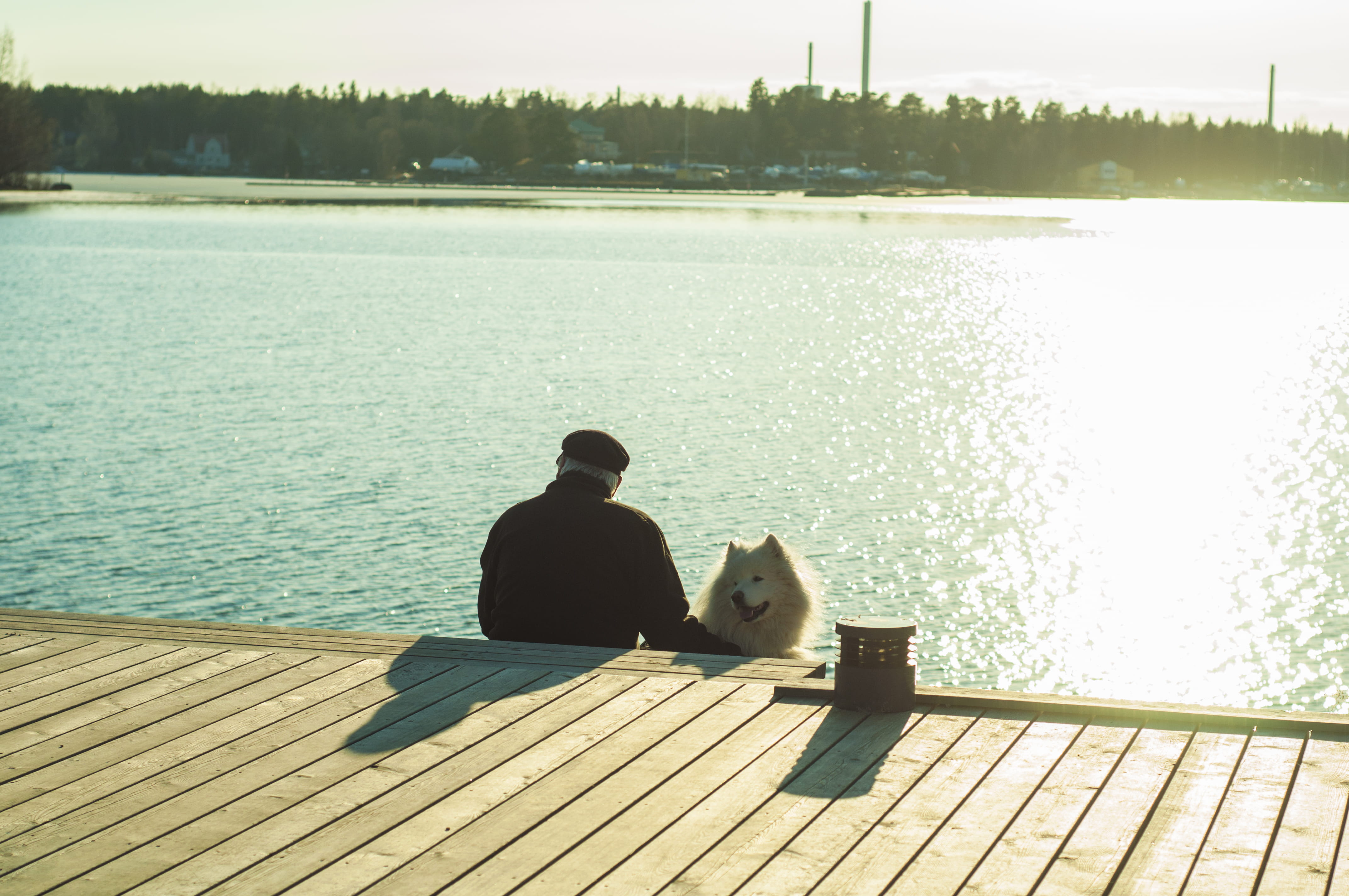 sitting, men, real people, outdoors, dog, 4K, pier, water, street, streetlife, sunlight, looking at view, tranquility, vertebrate, day, sun, one person, HD Wallpaper