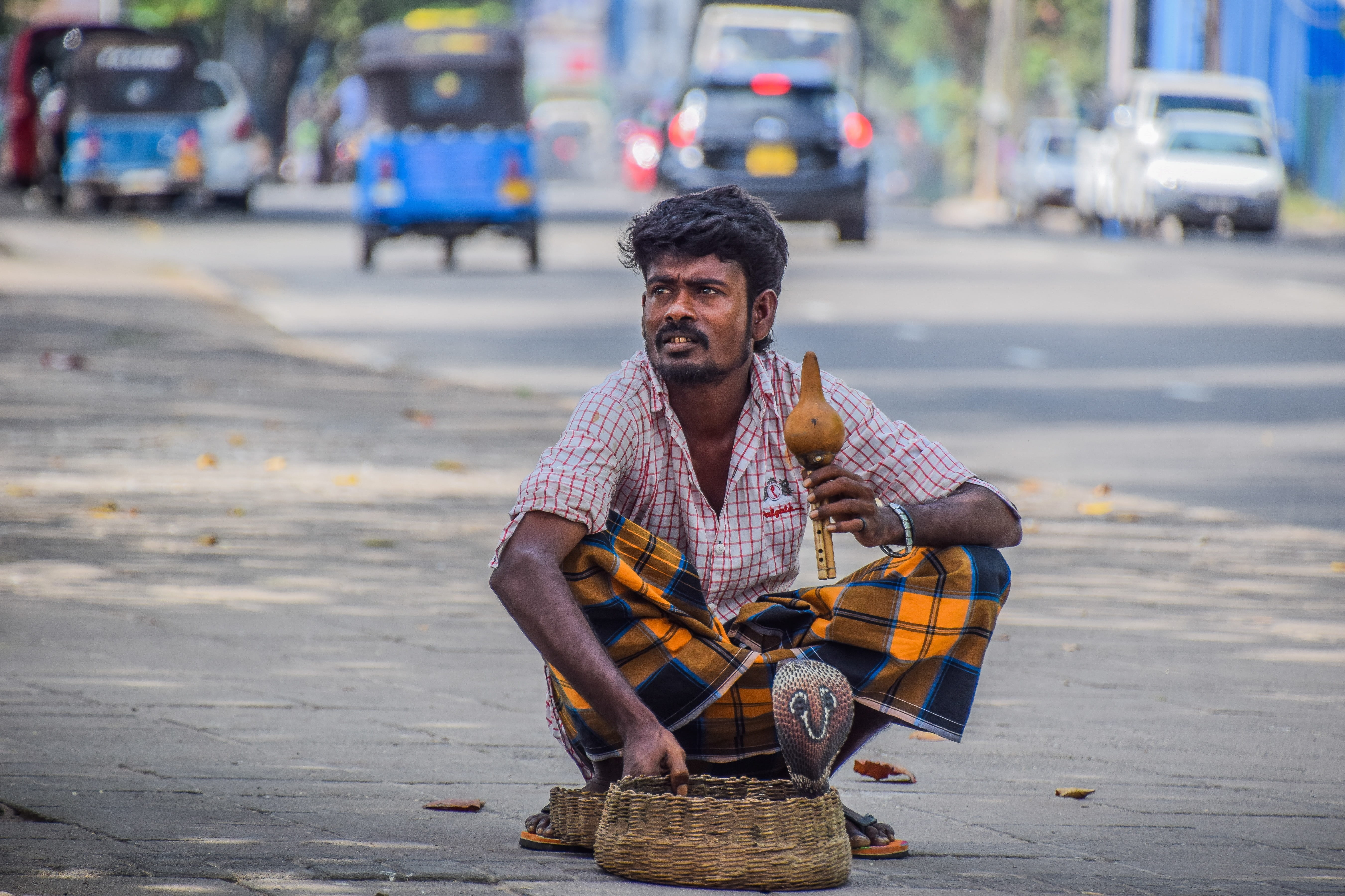 musical instrument, one person, mature men, road, city limits, front view, lifestyle, culture, mode of transportation, streetlife, real people, holding, HD Wallpaper