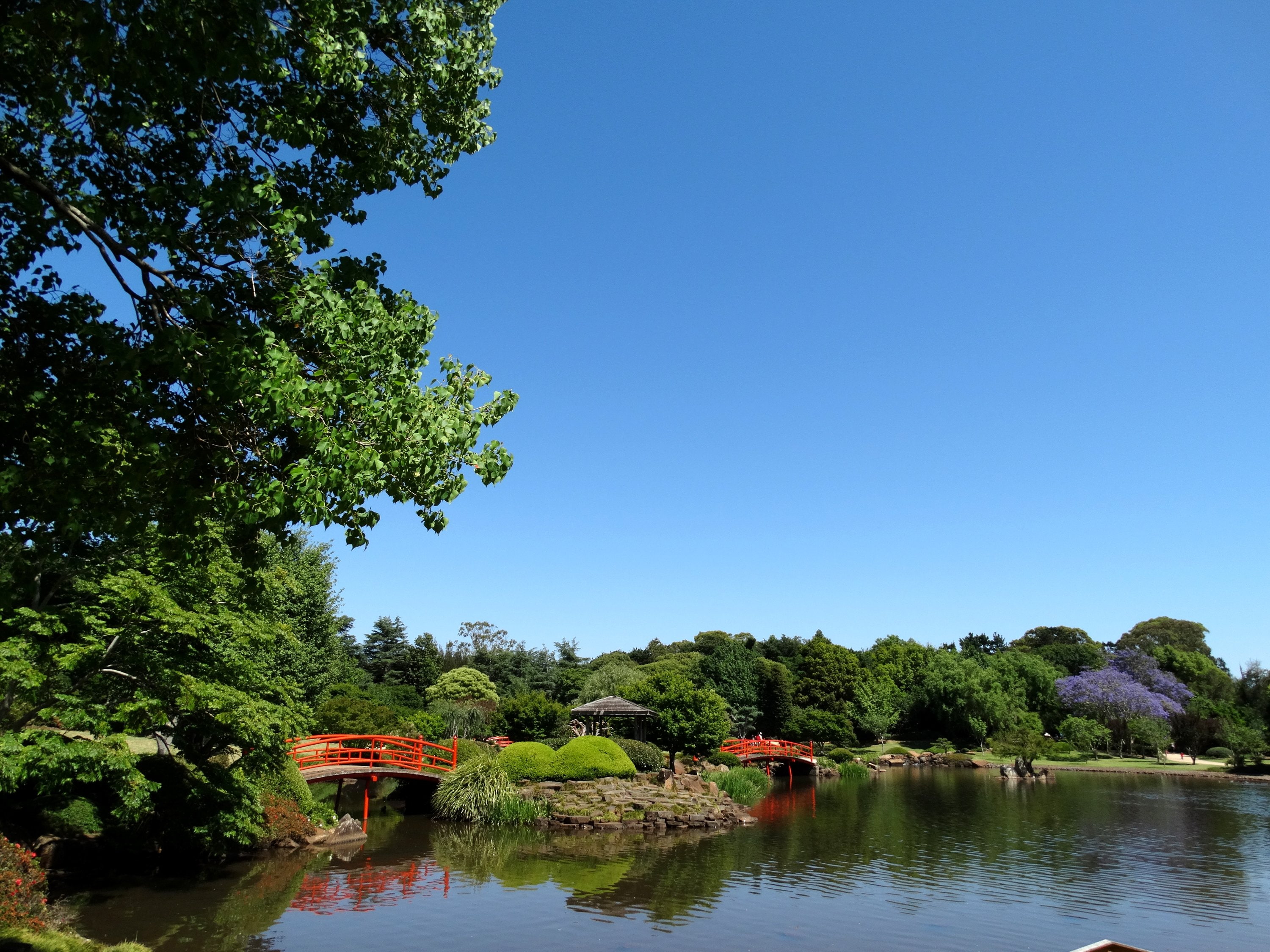 toowoomba, bridges, nature, australia, japenese, 2K, pond, parks, garden, HD Wallpaper