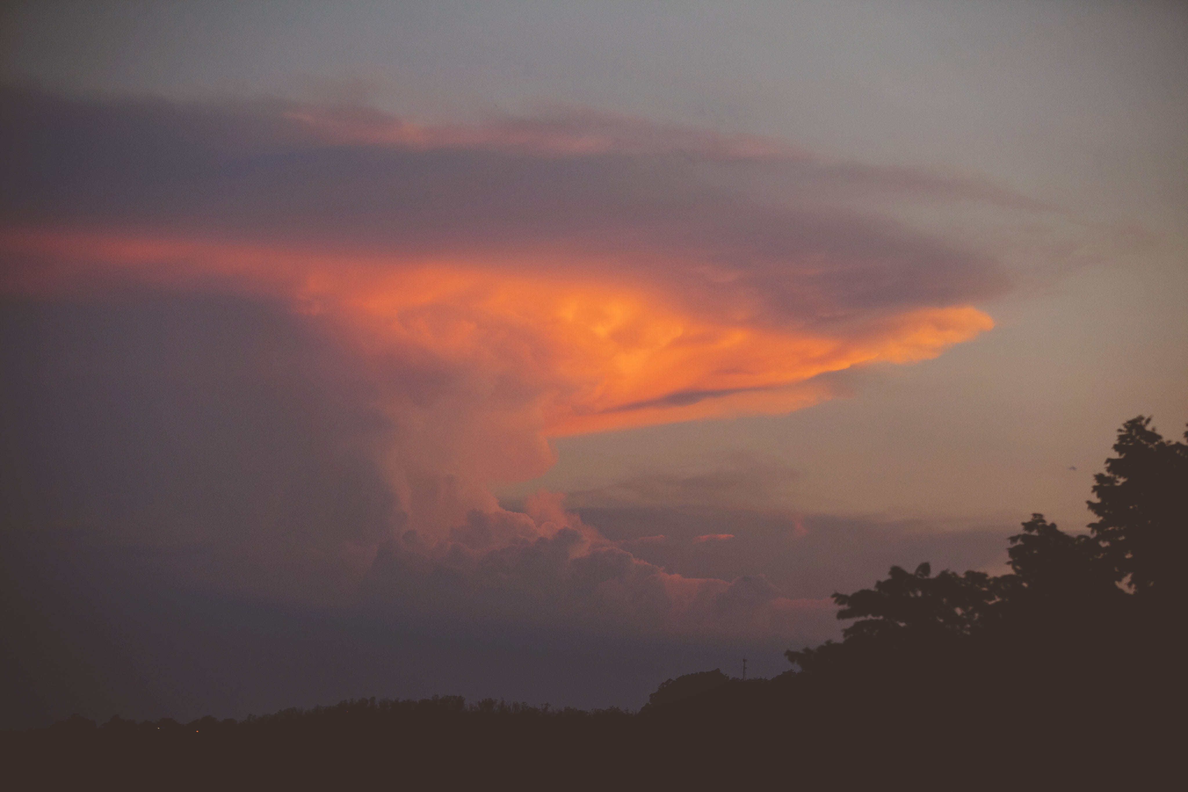 nature, orange, silhouette, non-urban scene, tree, storm cloud, land, cloud - sky, beauty in nature, smoke - physical structure, plant, orange color, sky, HD Wallpaper