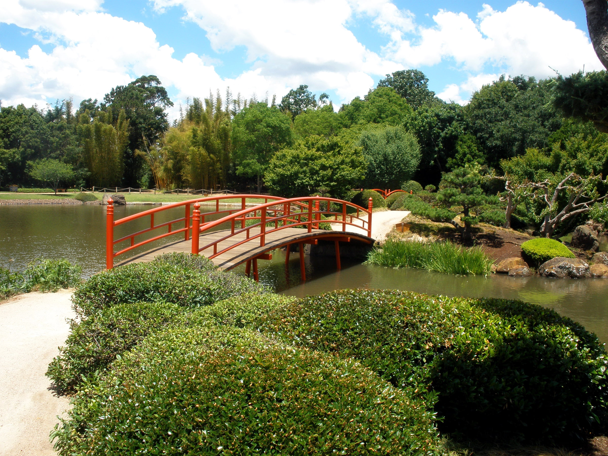 Park, trees, bridge, 1080P, Japenese Garden, Australia, Toowoomba, pond, HD Wallpaper