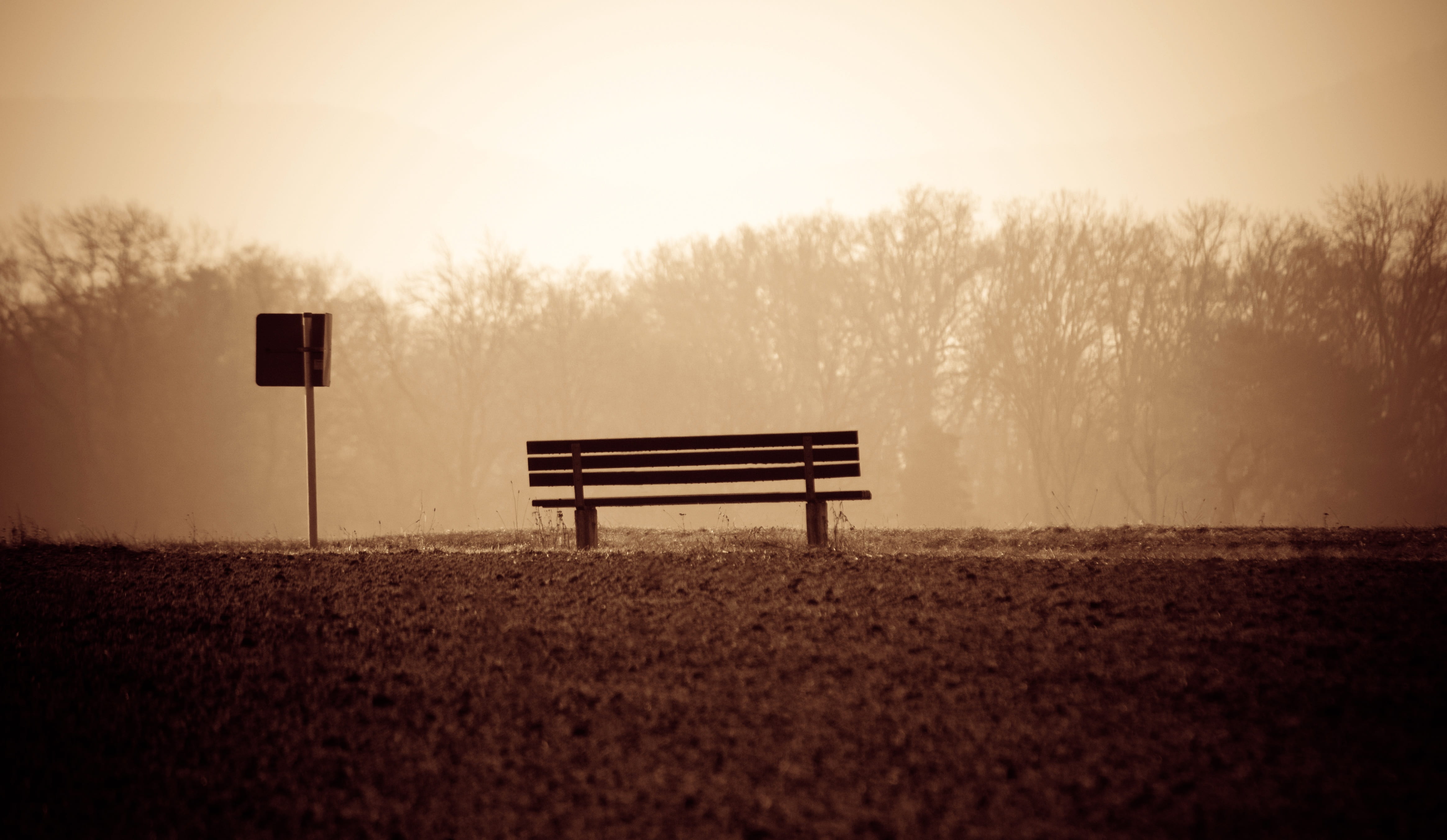 outdoors, seemed, field, old, plant, benches, nature, sky, fog, tree, absence, railroad track, park - man made space, platform, black, train, park bench, HD Wallpaper