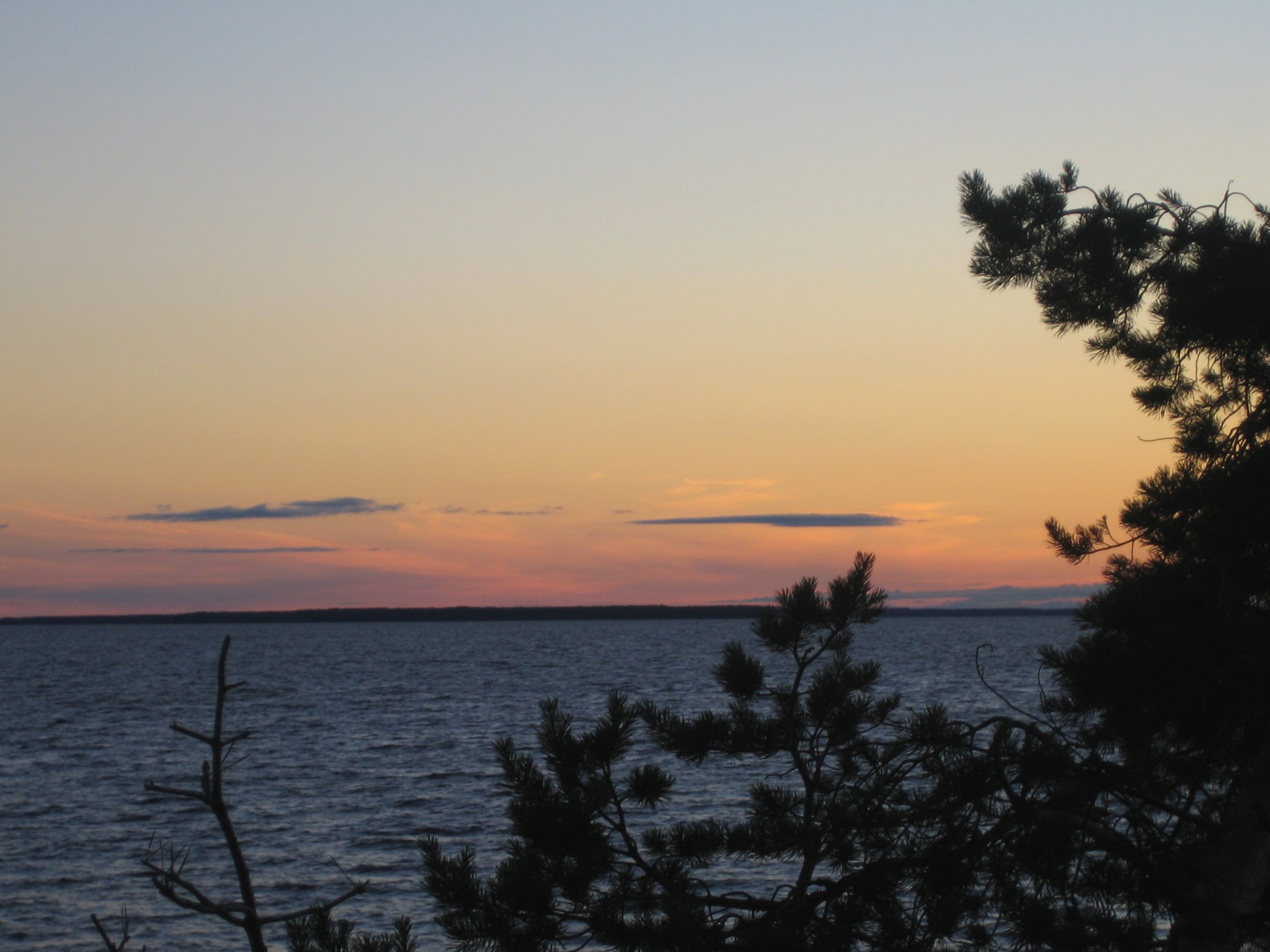 tranquility, in oulu lake, tree, plant, sunset, silhouette, idyllic, growth, finnish, outdoors, no people, beach, sky, water, scenics - nature, 1080P, HD Wallpaper