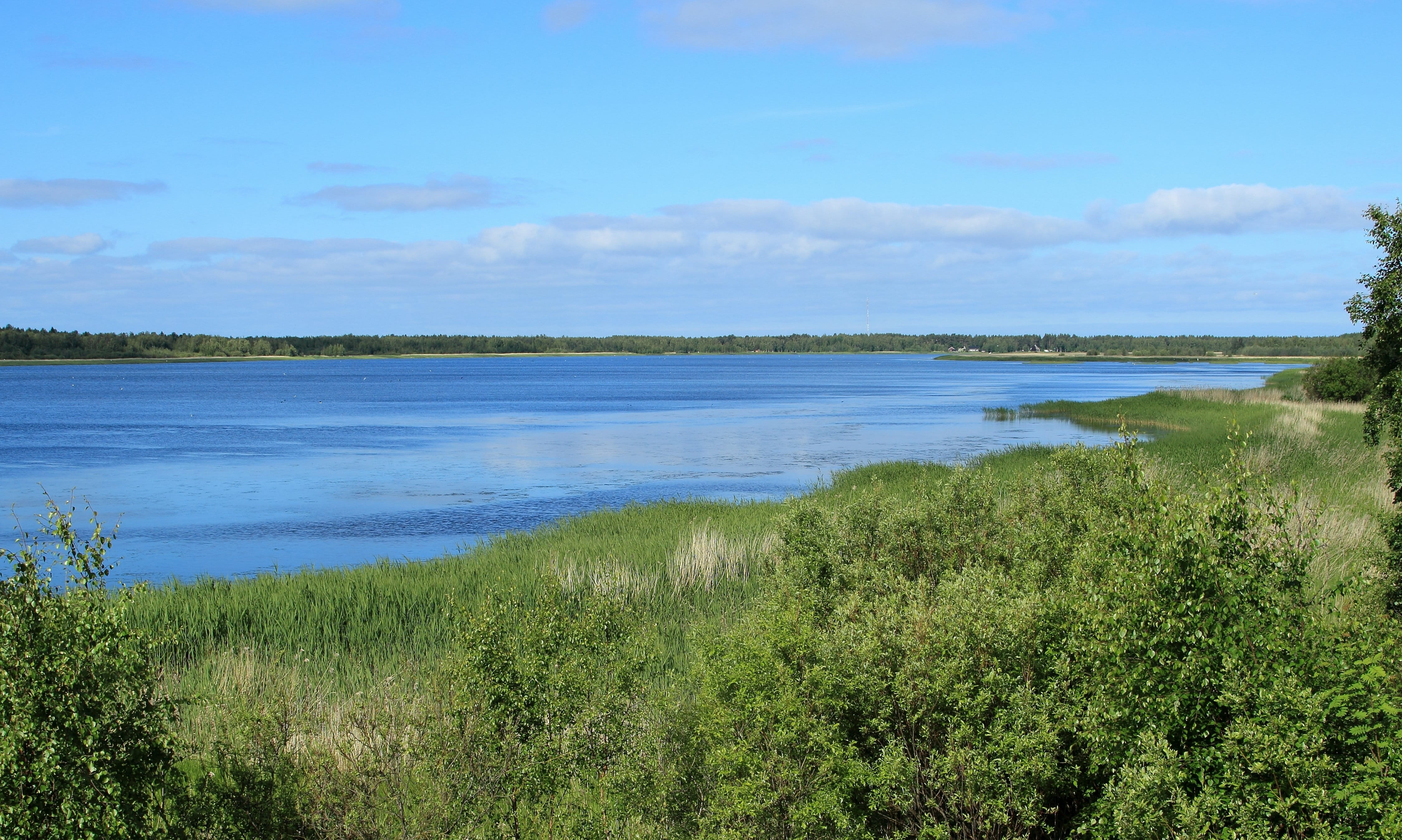 4K, bothnian, Oulu, tranquility, green color, nature, water, scenics - nature, outdoors, tree, beauty in nature, non-urban scene, Bay, lake, growth, sky, HD Wallpaper