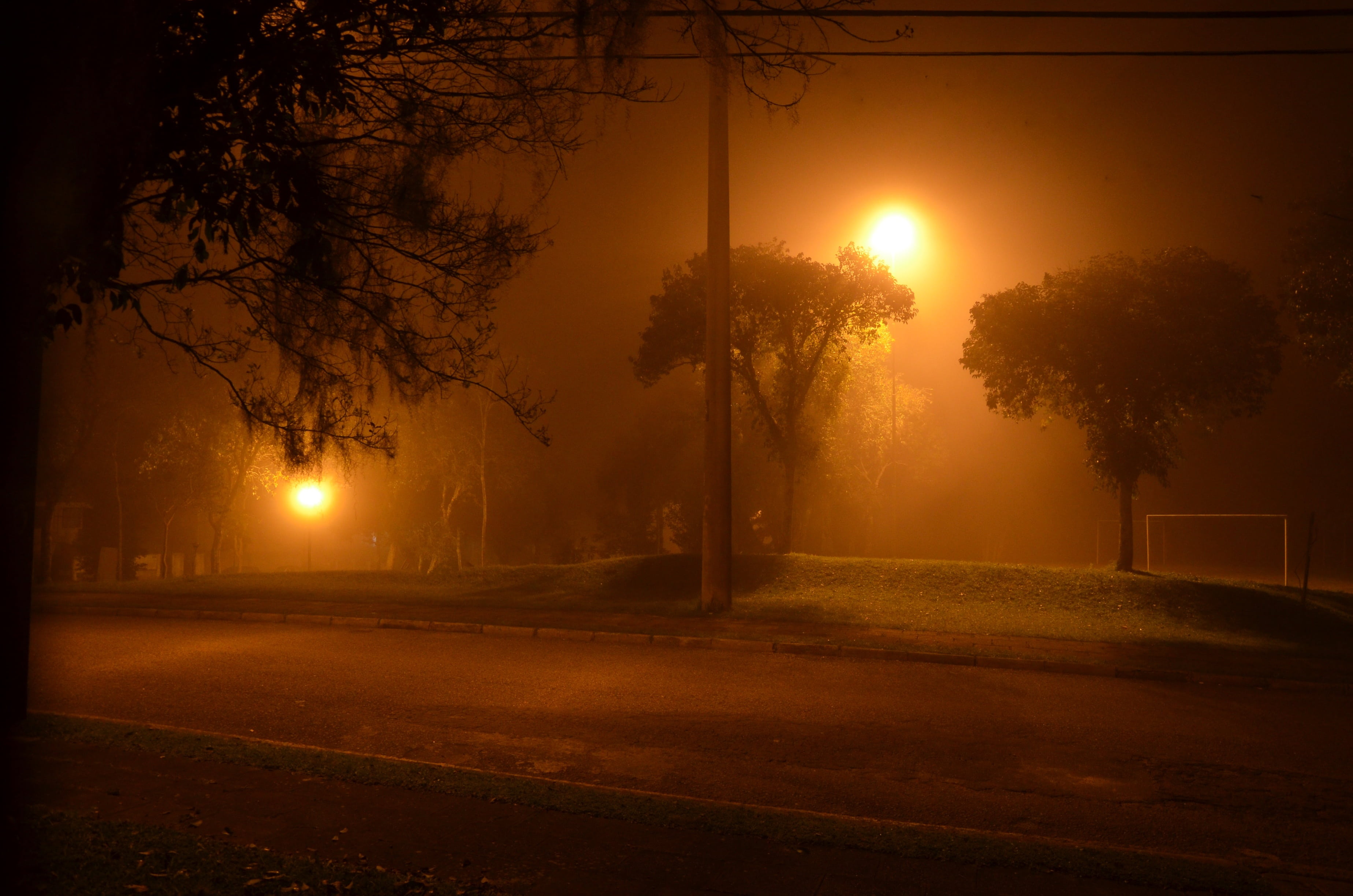 night, brazil, illuminated, 2K, square, street, nature, lighting equipment, street light, paraná, beauty in nature, dark, tranquility, no people, curitiba, HD Wallpaper