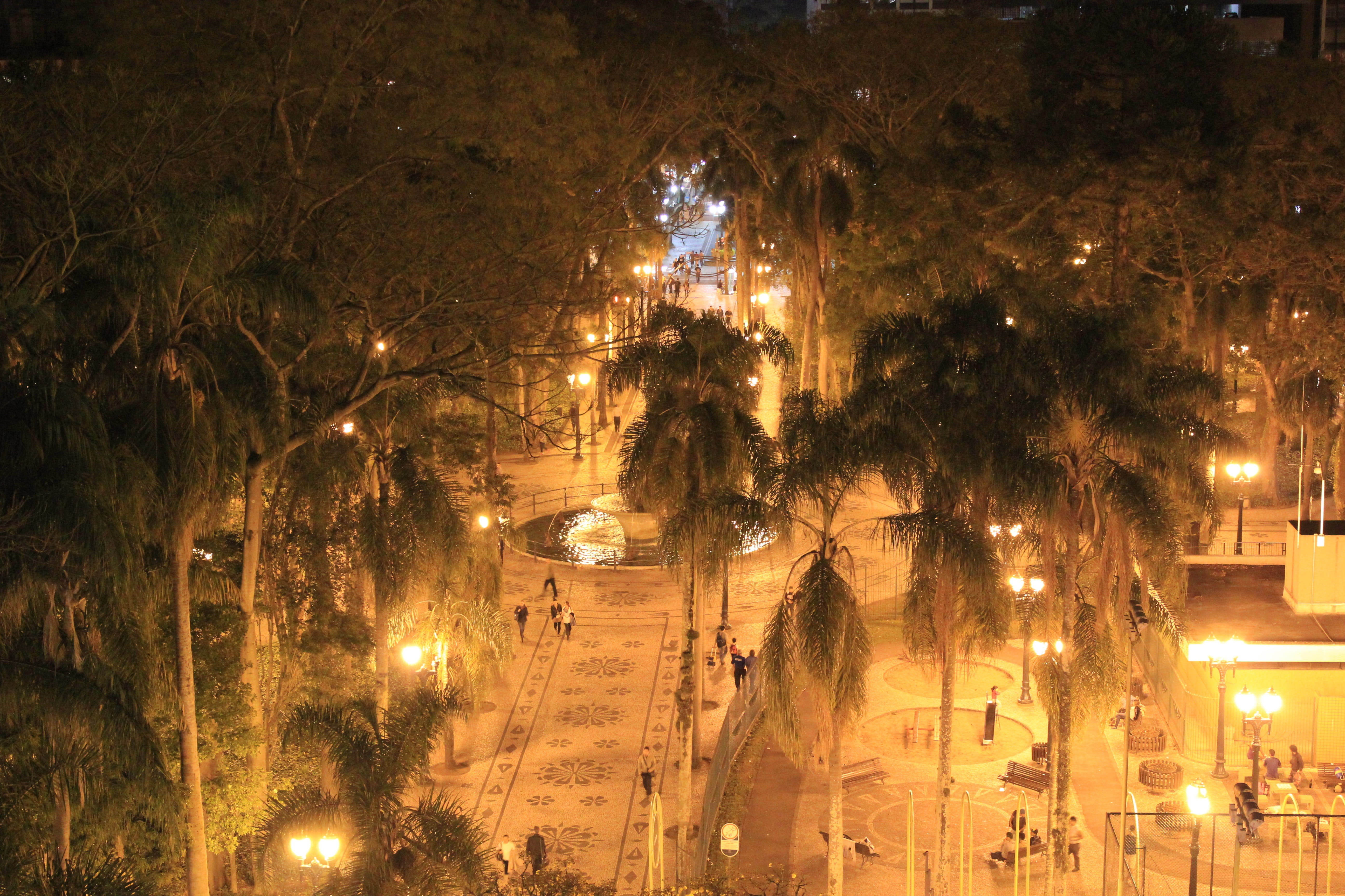 5K, illuminated, lighting, Landscape, building, City, street light, architecture, plant, glowing, urban, Lights, brazil, nature, Night, tree, street, building exterior, HD Wallpaper