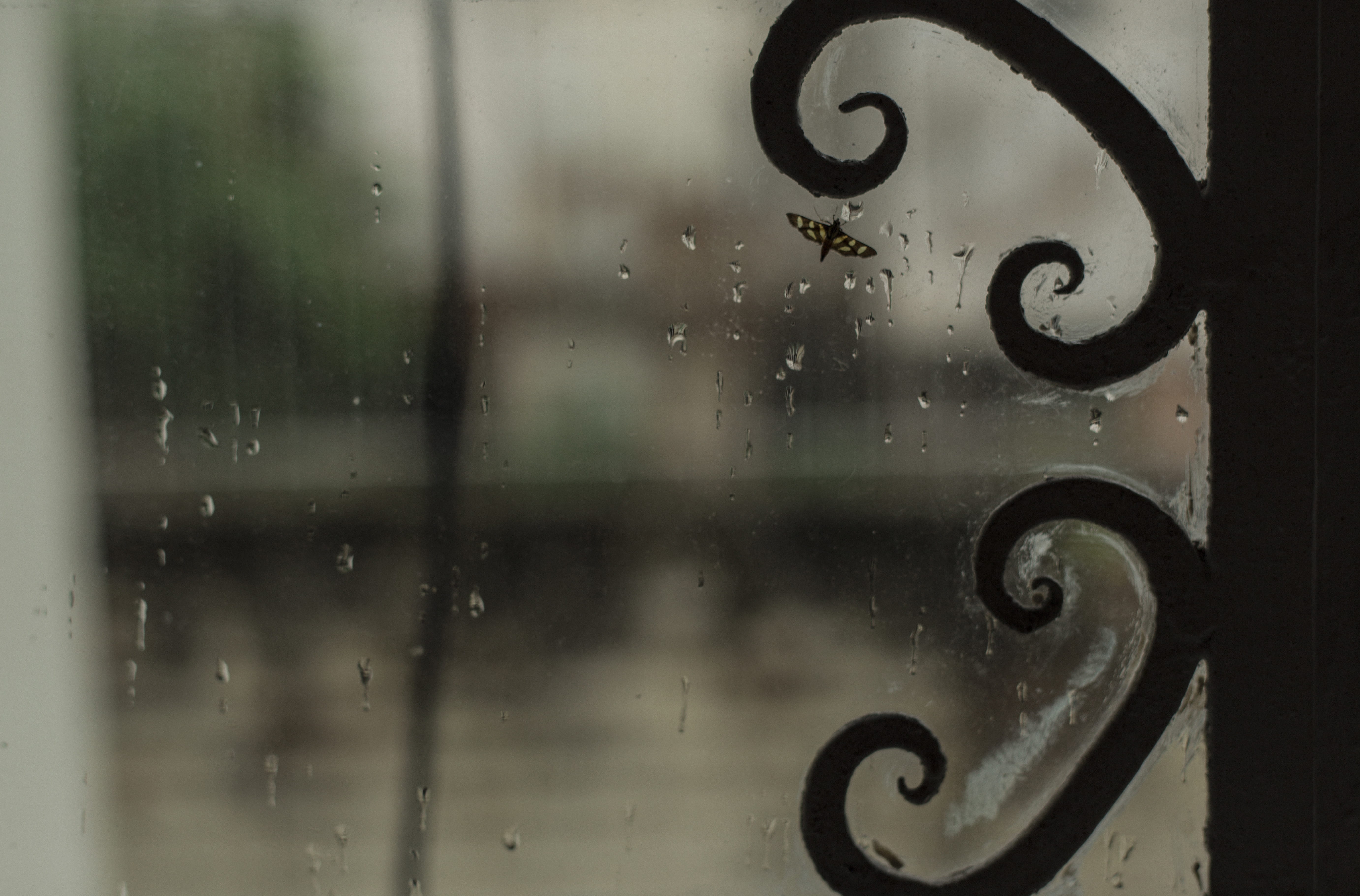 raindrop, indoors, no people, curitiba, rain, shape, brazil, transparent, full frame, wet, number, day, close-up, door, focus on foreground, metal, drop, HD Wallpaper