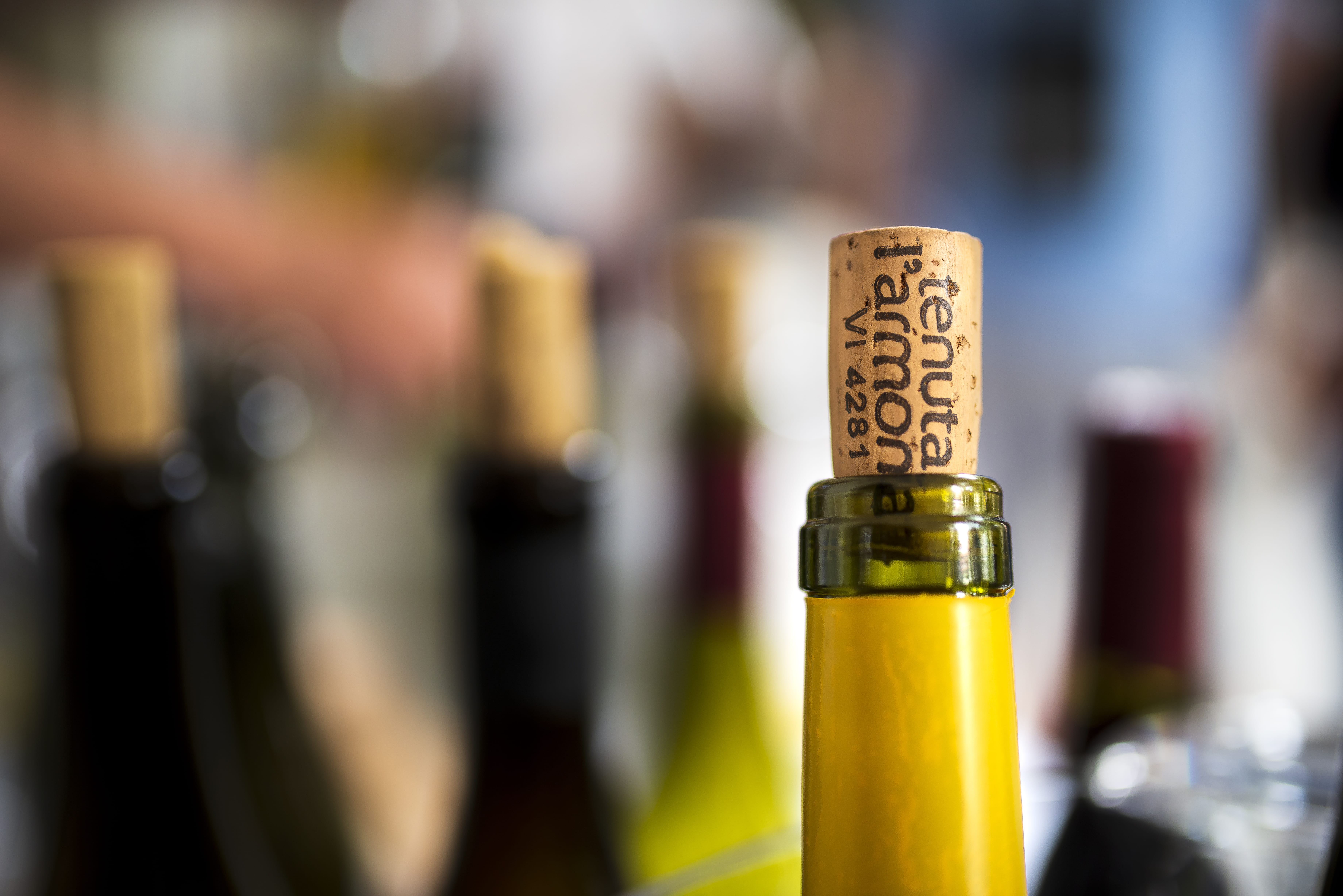 cividale del friuli, cork - stopper, corkscrew, close-up, indoors, drink, wine bottle, 5K, still life, text, cap, food and drink, no people, refreshment, HD Wallpaper