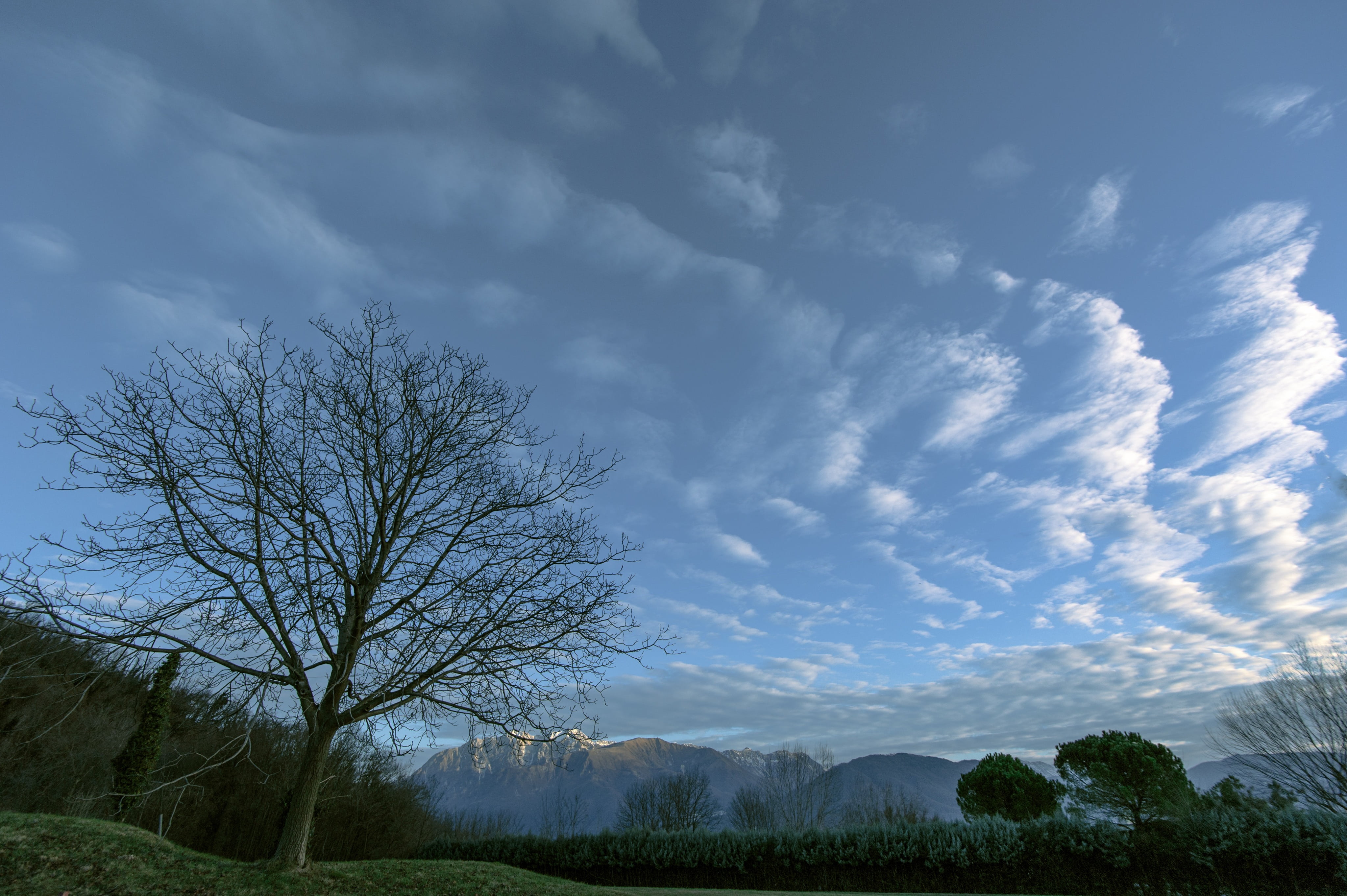 tranquility, friuli, nature, clouds, beauty in nature, grass, land, scenics - nature, field, tranquil scene, carnia, outdoors, 4K, cloud - sky, no people, HD Wallpaper
