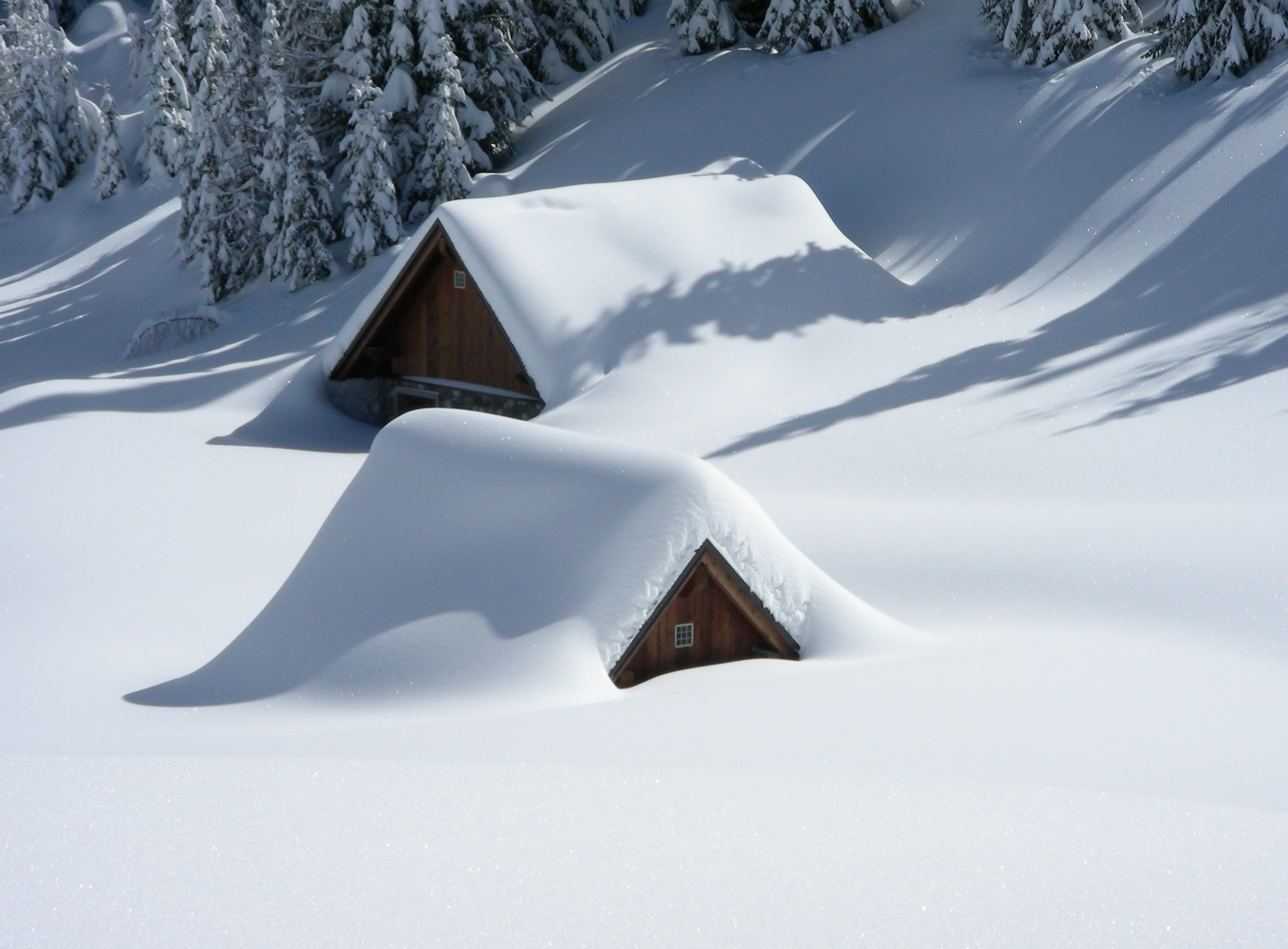 field, architecture, winter, land, house, covering, scenics - nature, white color, outdoors, snowcapped mountain, tranquility, brown, frozen, 2K, beauty in nature, HD Wallpaper