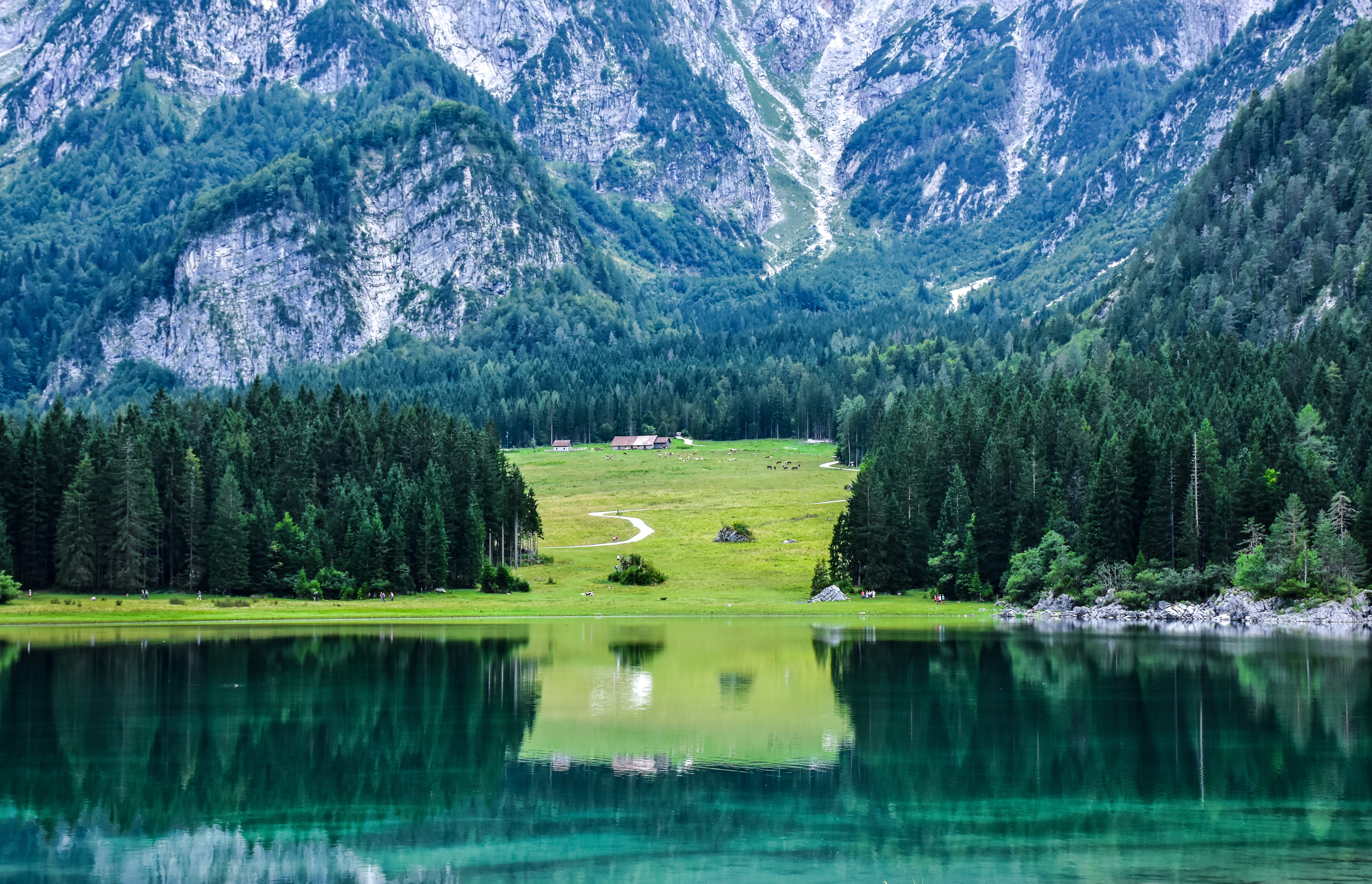 fusine, idyllic, mountain landscape, water, beauty in nature, mountain, scenics - nature, campaign, pine tree, green color, plant, mountain lake, no people, HD Wallpaper