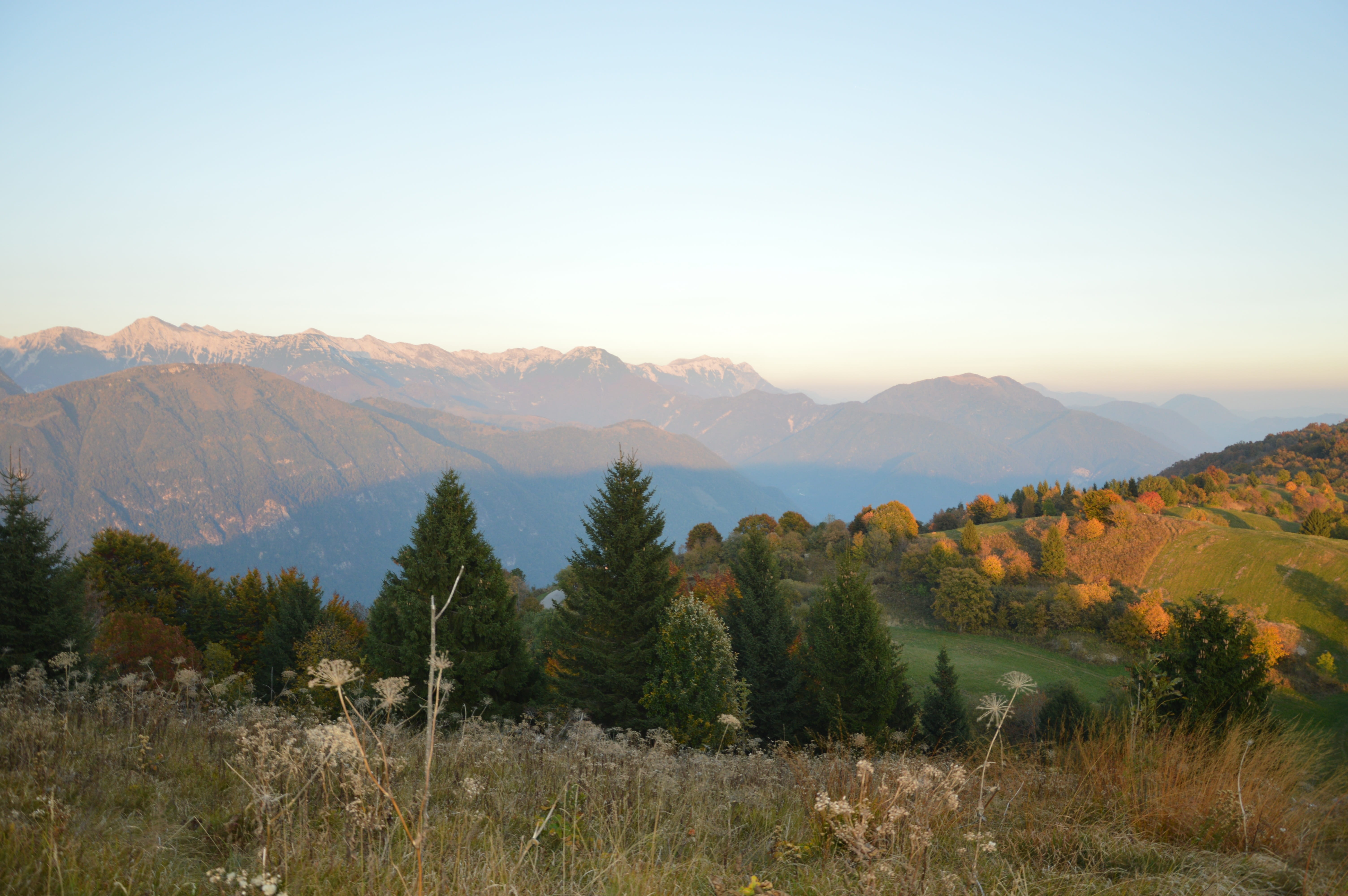 beauty in nature, tranquility, alpine, copy space, hill, nature, clear sky, remote, landscape, tranquil scene, italy, 5K, day, friuli, idyllic, tree, outdoors, HD Wallpaper