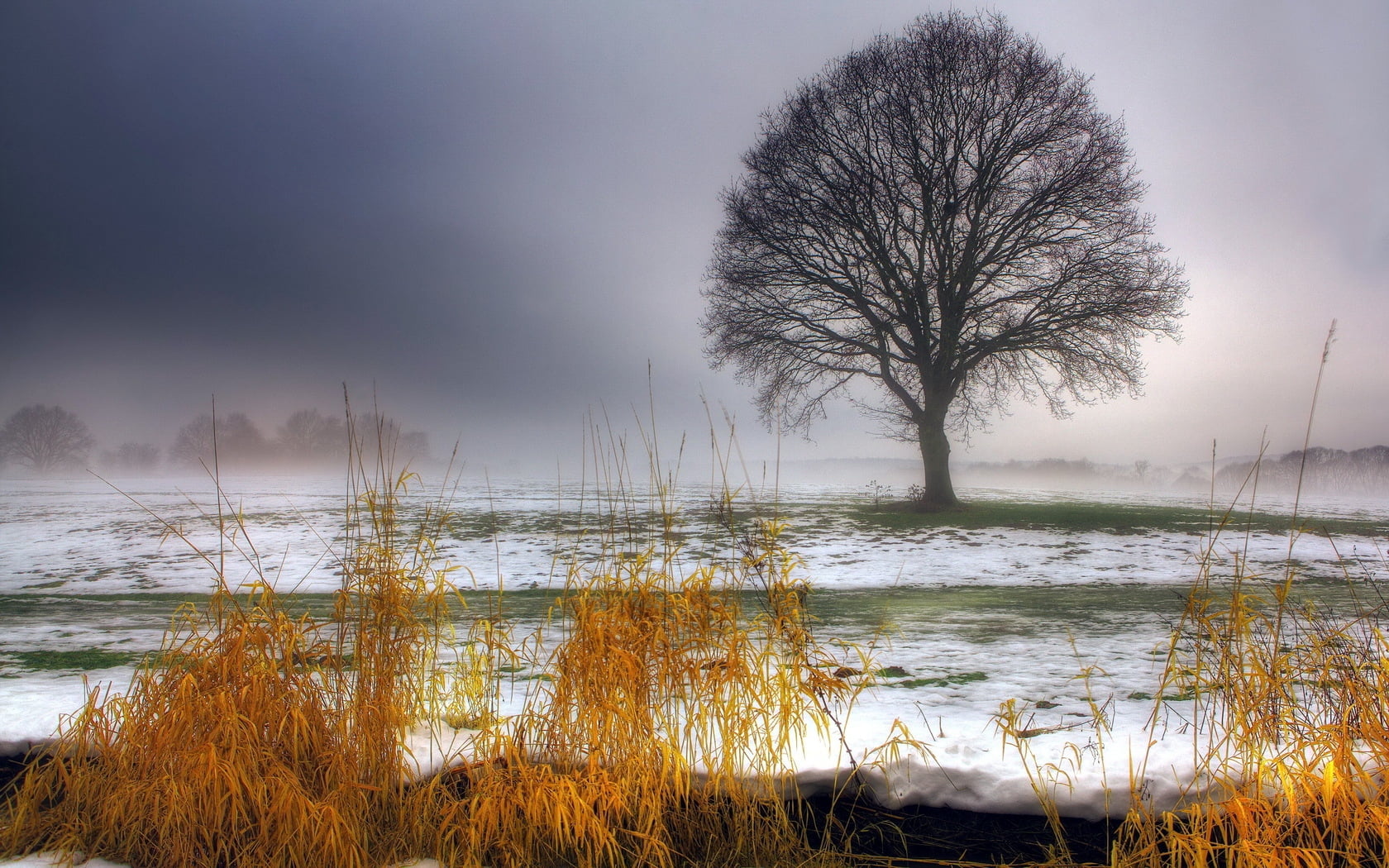 tranquil Scene, scenics, scenics - nature, outdoors, nature, sunset, tree, fog, no People, season, life, mist, first snow, lake, forest, weather, branch, HD Wallpaper