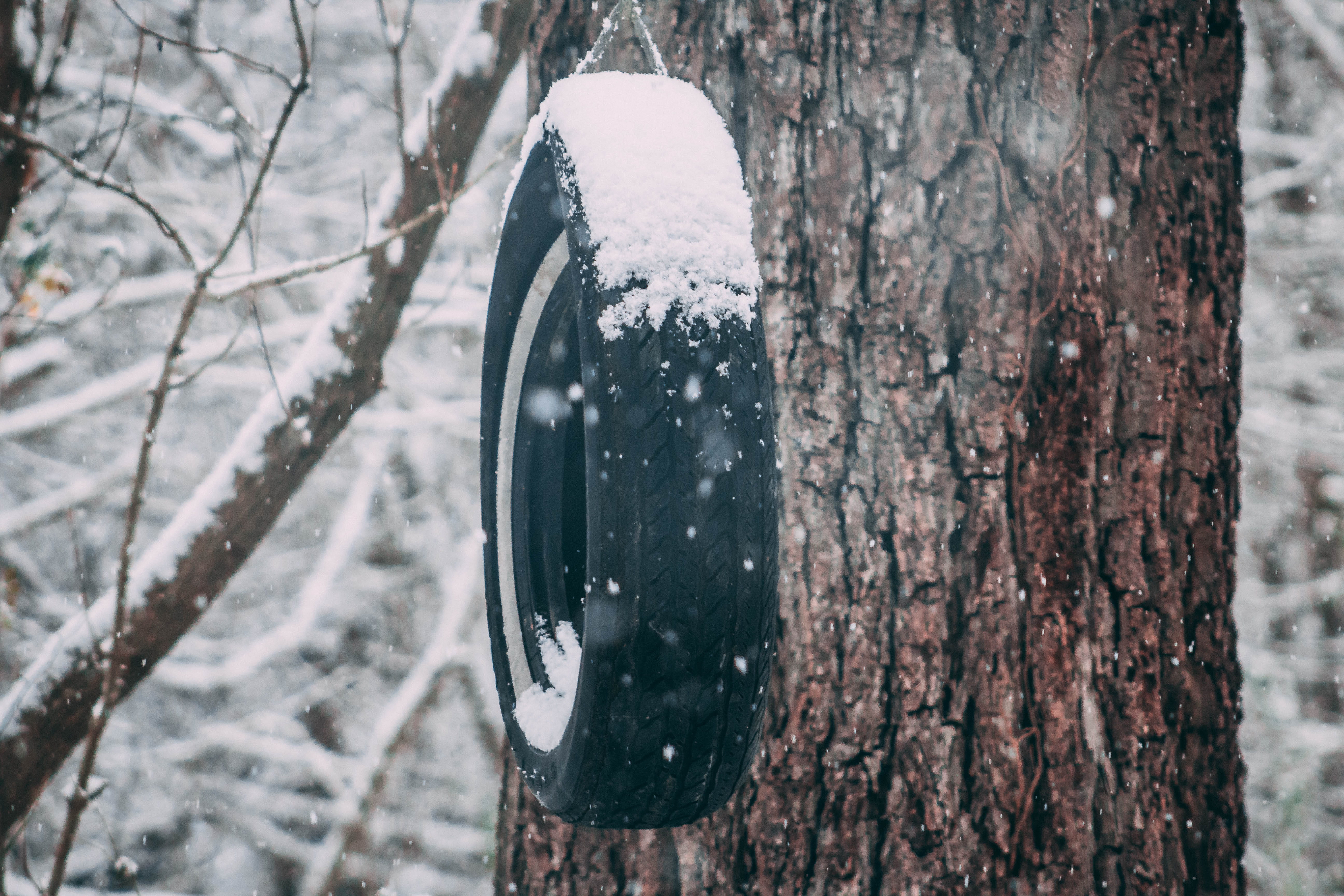focus on foreground, 5K, plant, unsplash, land, wood - material, cold temperature, bark, nature, trunk, snowing, outdoors, swing, first snow, day, close-up, HD Wallpaper