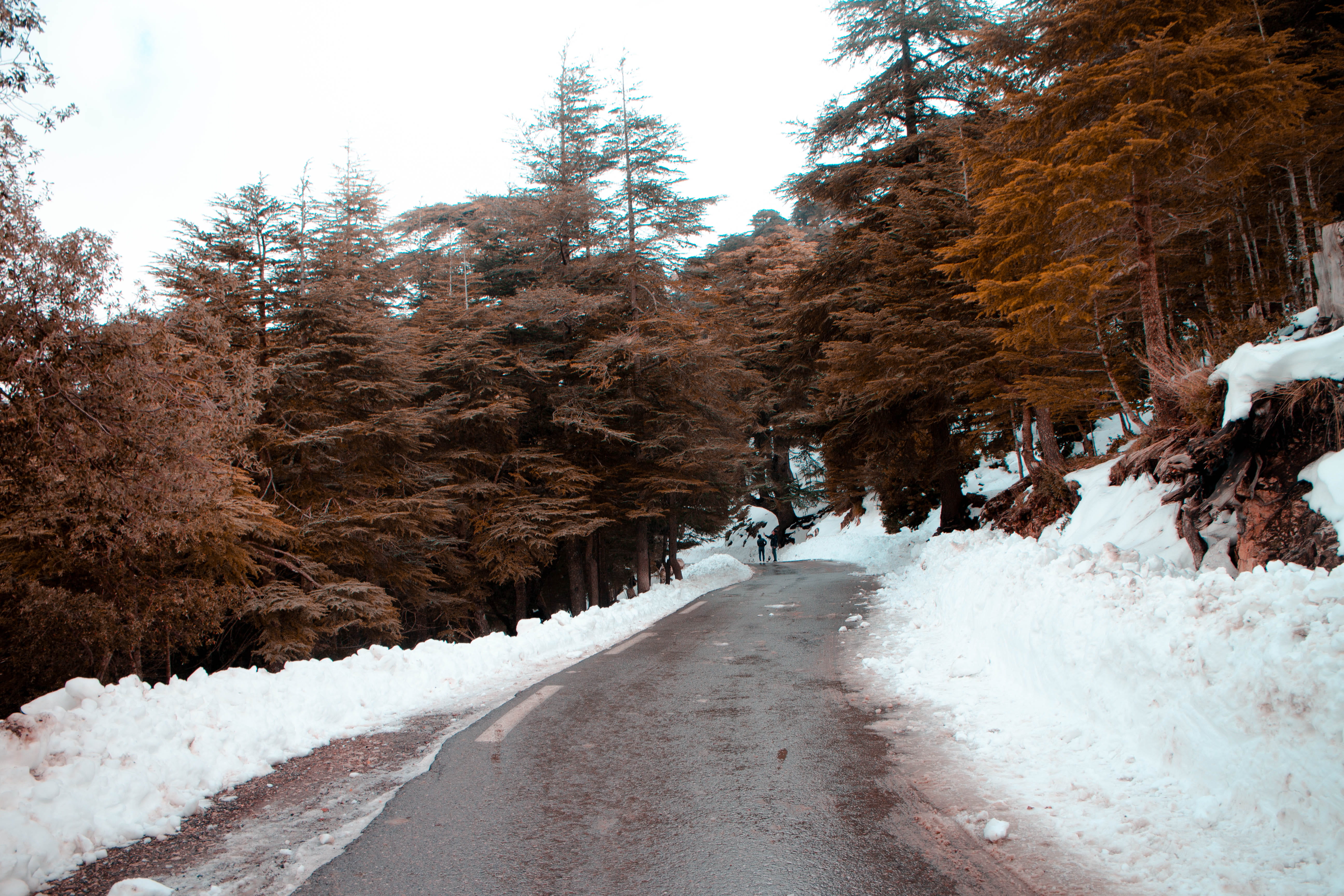 outdoors, human, plant, dark, the way forward, ice, person, cold temperature, scenics - nature, trees, promontory, tree, building, daytime, white color, HD Wallpaper