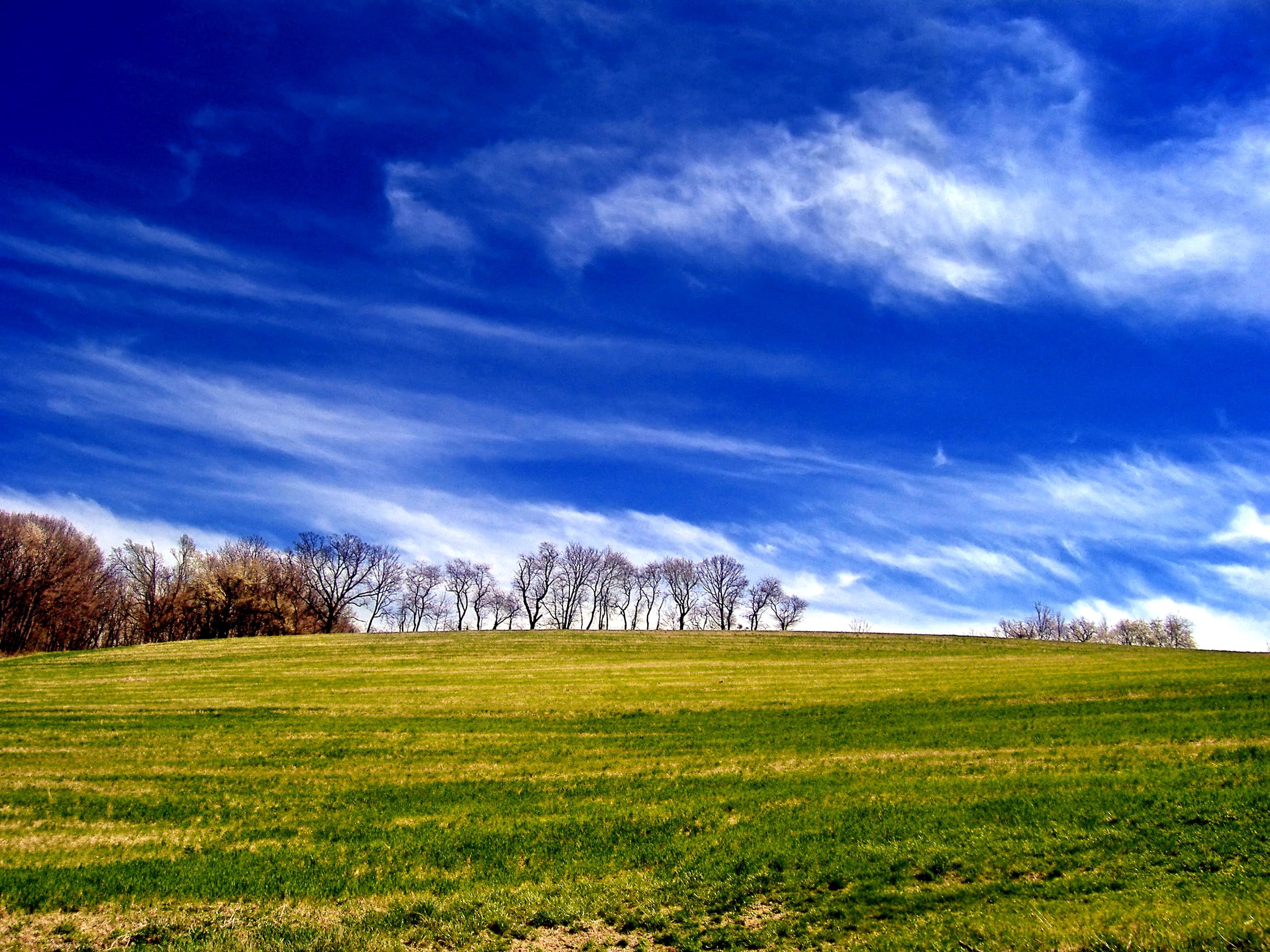 blue, tree, Greenwich Township, Berks County, rural, nature, cloud - Sky, outdoors, 2K, season, Pennsylvania, daytime, landscape photography, creative commons, HD Wallpaper
