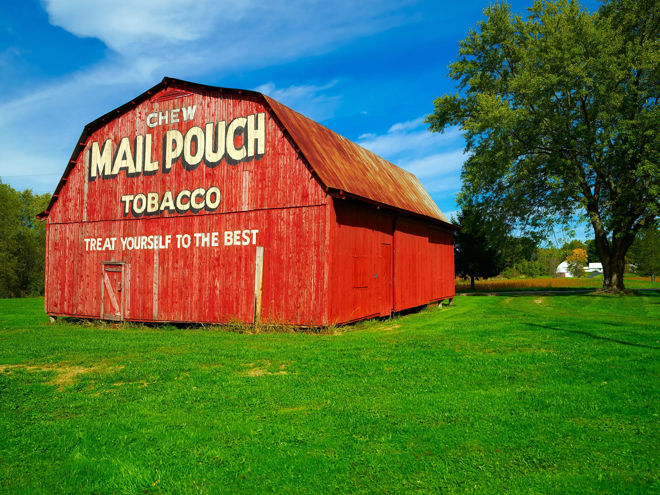 uSA, country, plant, western script, clouds, no People, sky, built structure, sunlight, 1080P, day, weathered, land, nature, Mail Pouch Tobacco, color Image, HD Wallpaper