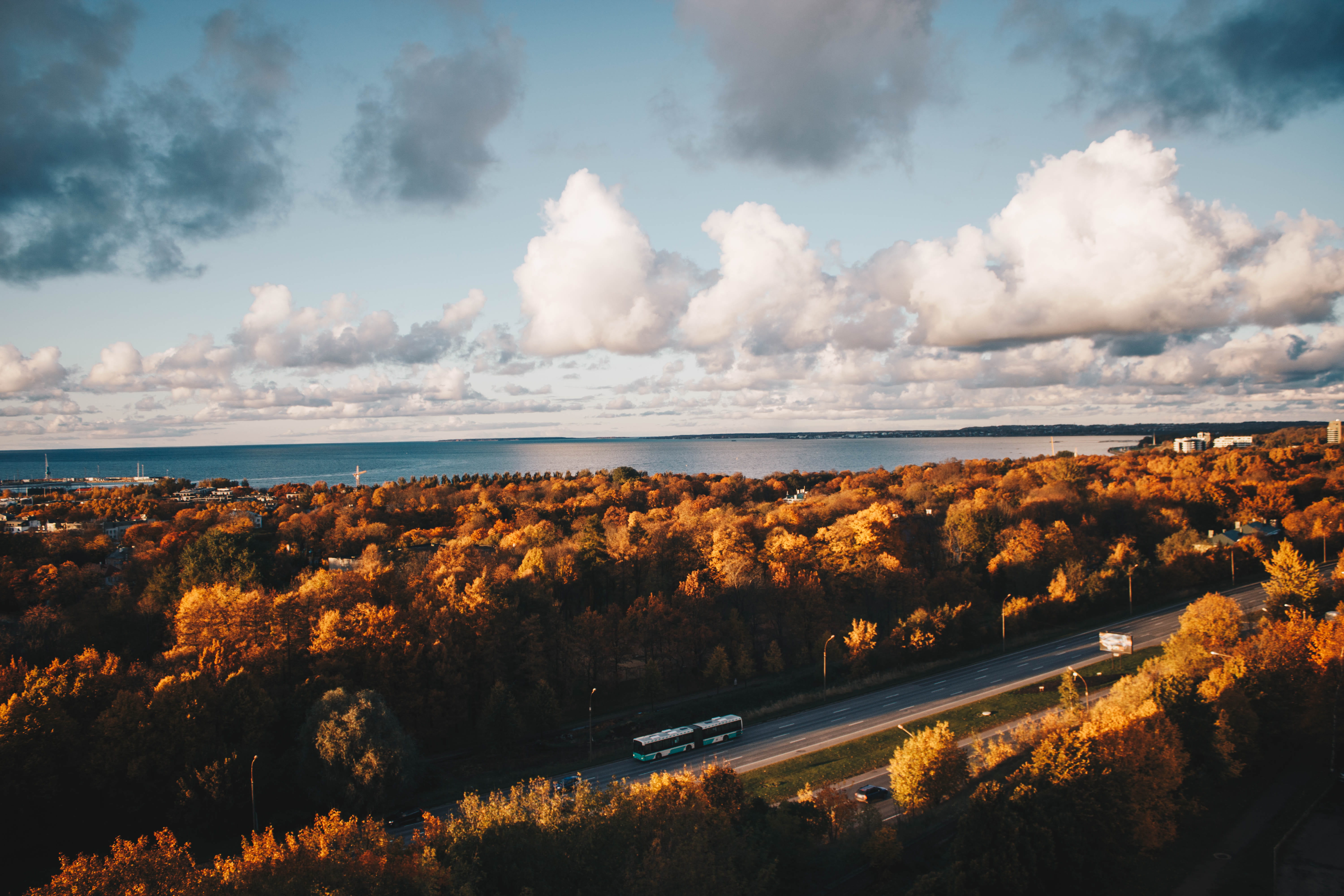 beach, aerial view, landscape, daylight, trees, alto, day, land, backlit, photo, outdoors, cloud - sky, car, grass, horizon, sky, forest, non-urban scene, HD Wallpaper