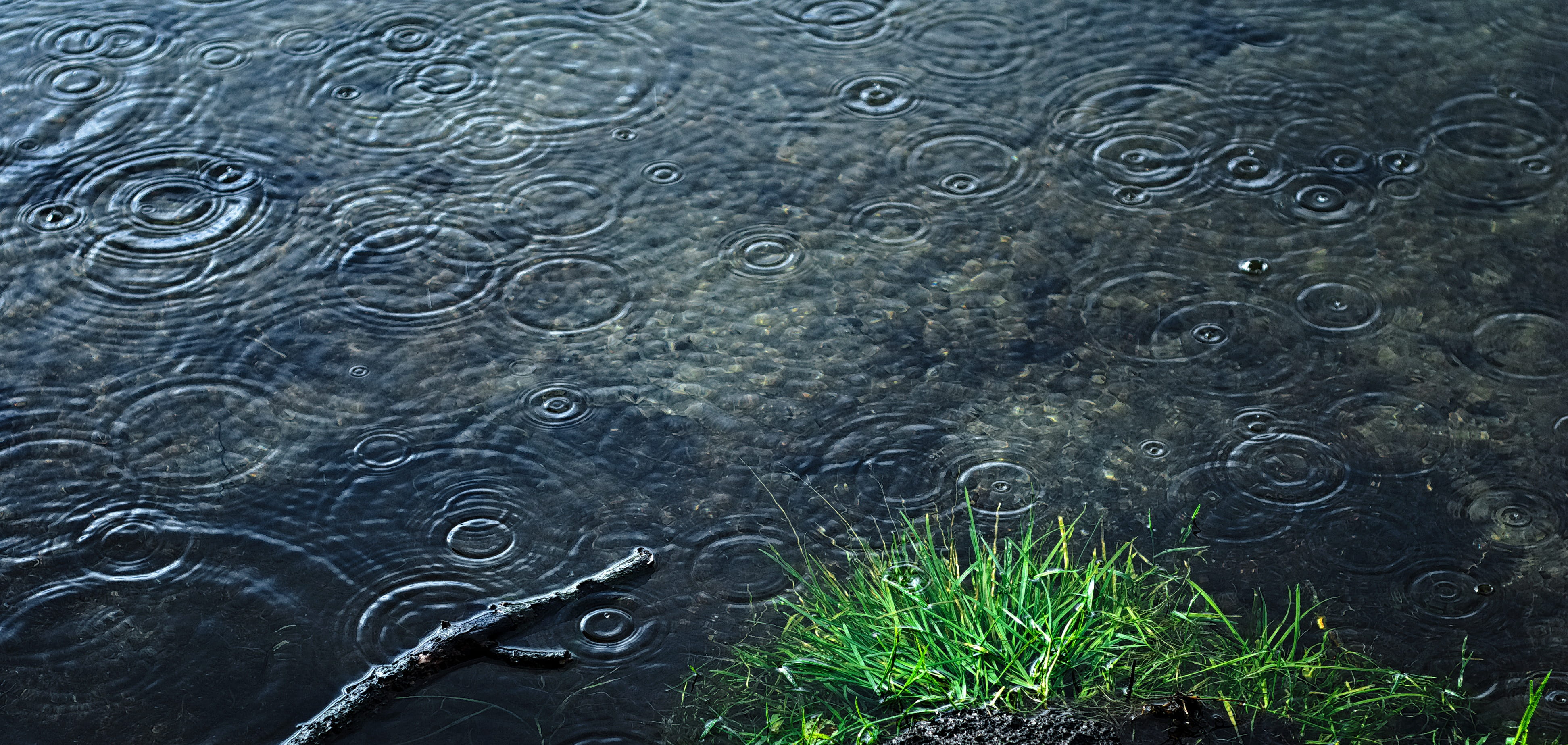 holidays, no people, drop, concentric, purity, nature, rippled, water, photo, outdoors, sadness, beauty in nature, high angle view, backgrounds, full frame, HD Wallpaper