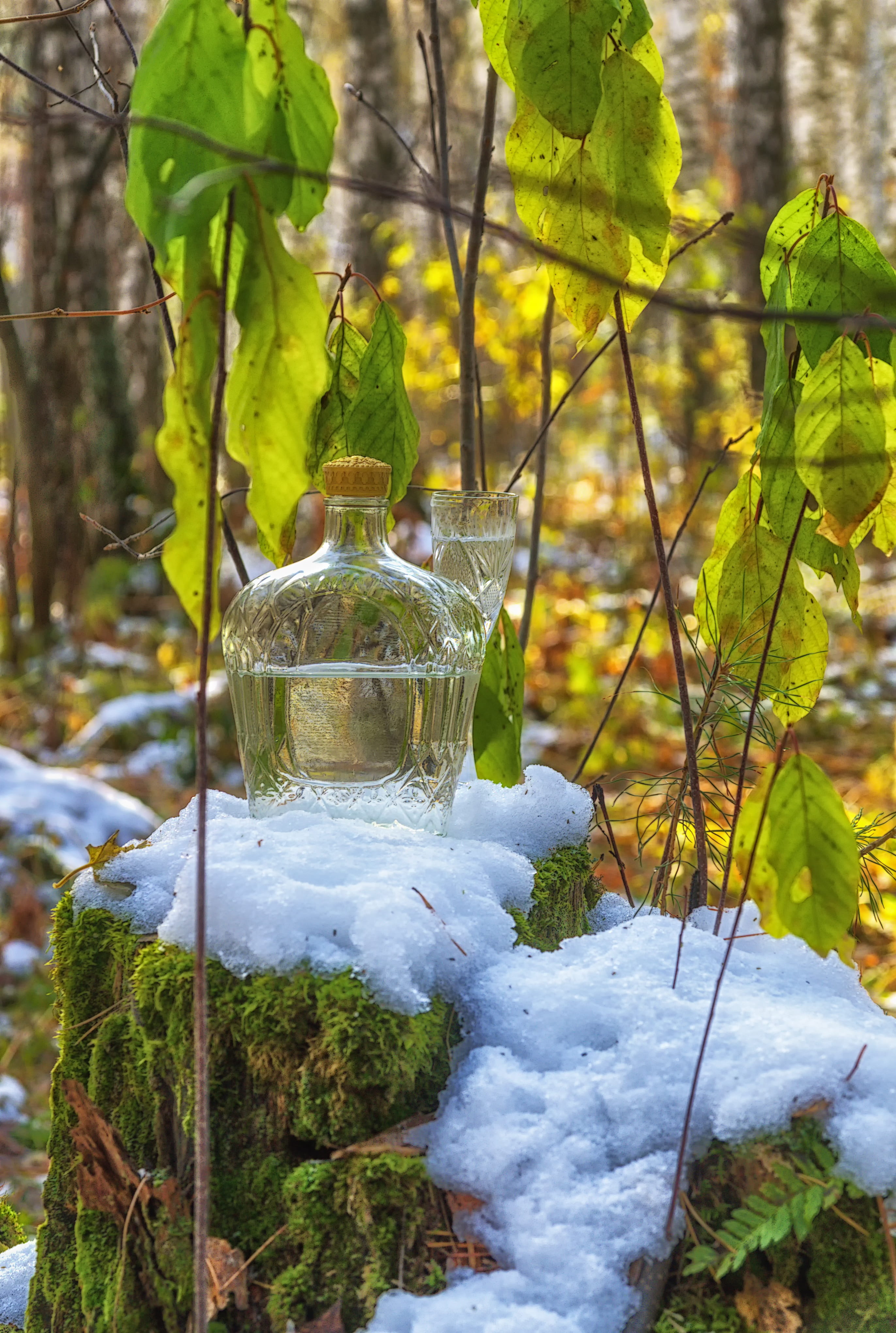 water, melancholia, melting snow, landscape, no people, outdoors, decanter, autumn, land, branch, leaf, plant part, close-up, Still Life, glass, Forest, Phone HD Wallpaper