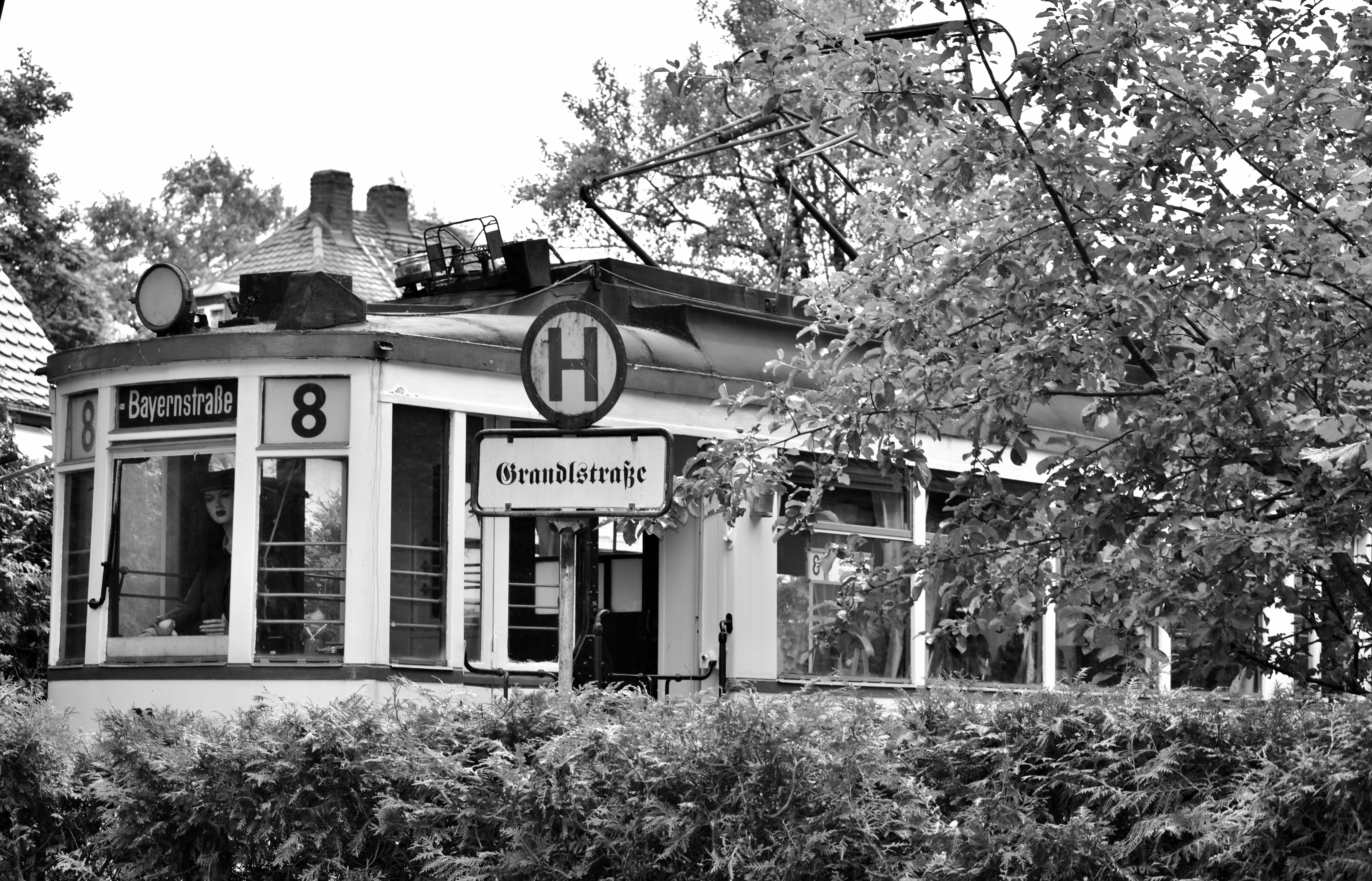 building exterior, western script, low angle view, nature, 5K, built structure, facade, black and white, tree, plant, garden, no people, Tram, public personennahverkehr, HD Wallpaper