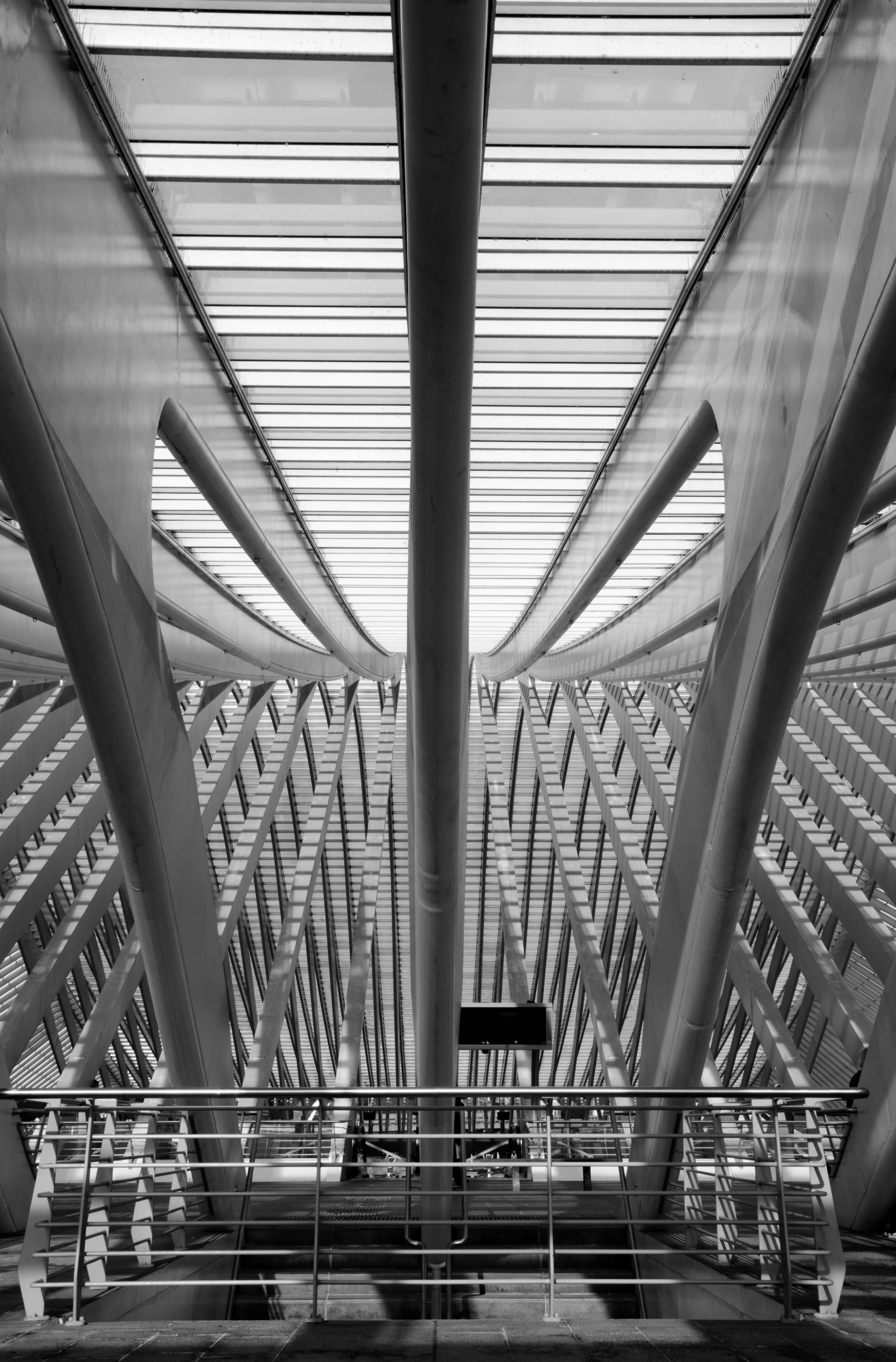 abstract, belgium, metal, pattern, santiago calatrava, Symmetry, station, Architecture, no People, futuristic, steel, indoors, transport, lines, 4K, architectural column, Phone HD Wallpaper
