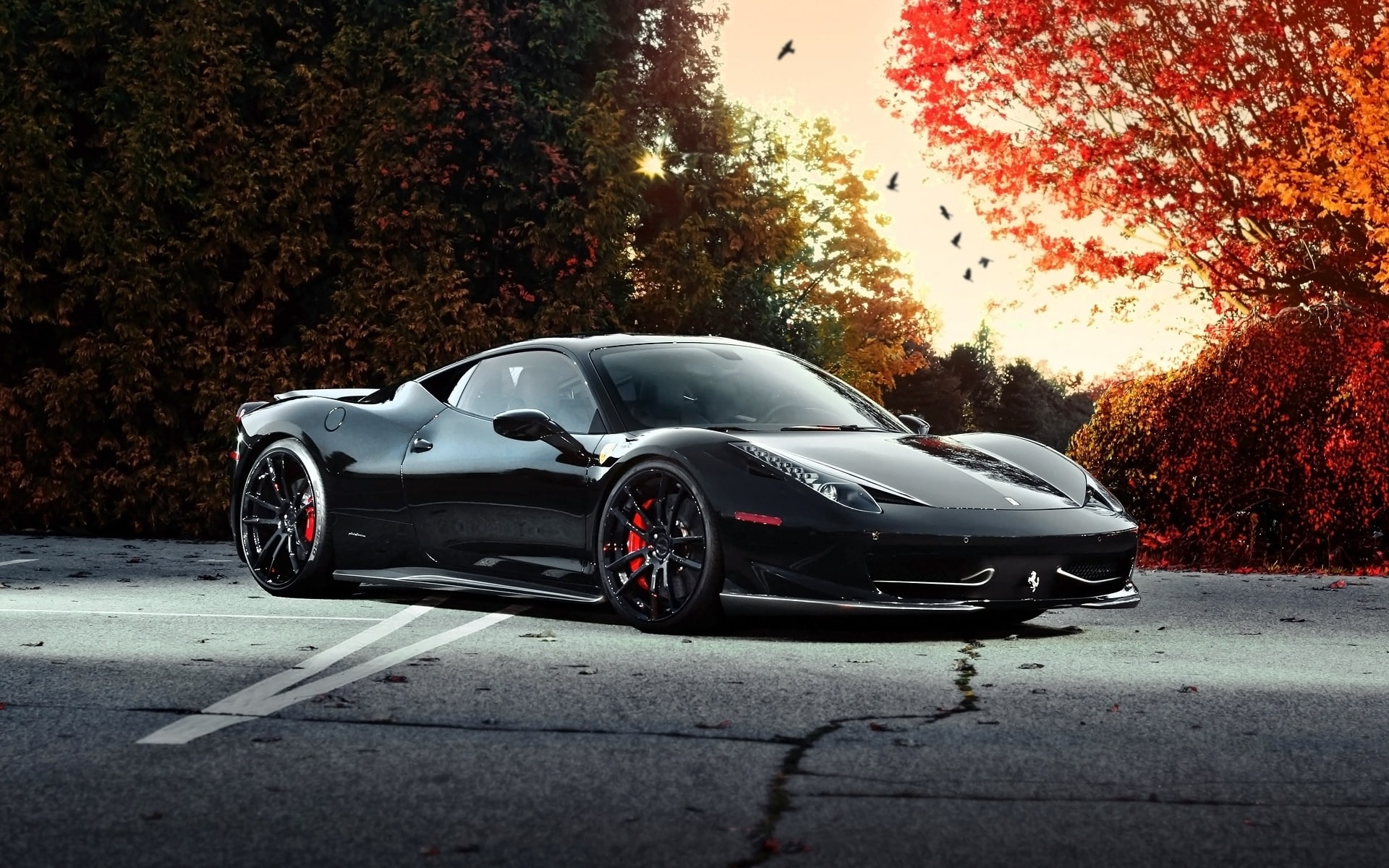roads, exotic, supercar, ferrari, autumn, vehicles, fall, cars, 1080P, trees, HD Wallpaper