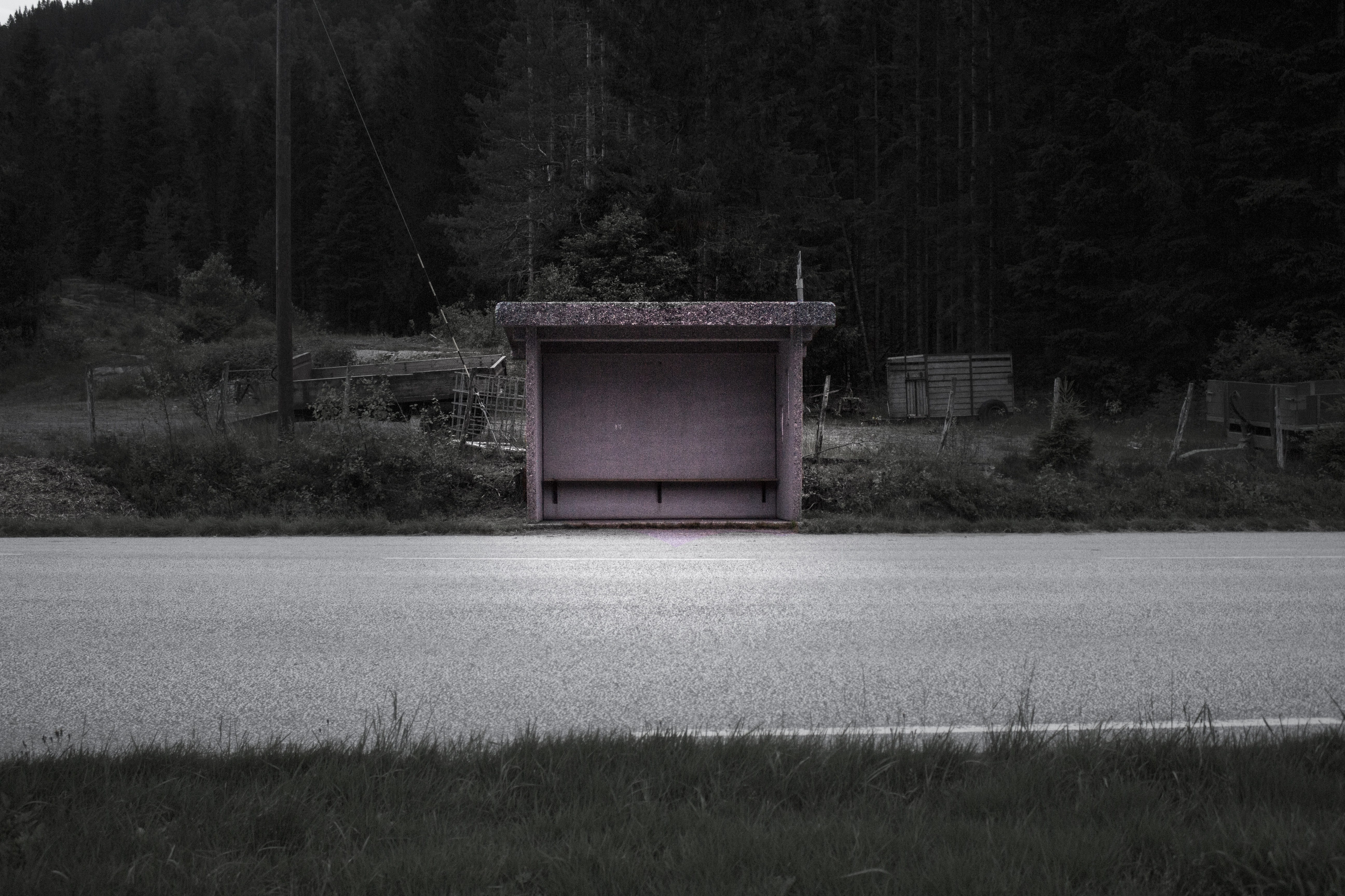 grass, field, plant, tranquil scene, forest, tree, highway, built structure, building exterior, outdoors, growth, black and white, empty, bus, speedway, HD Wallpaper