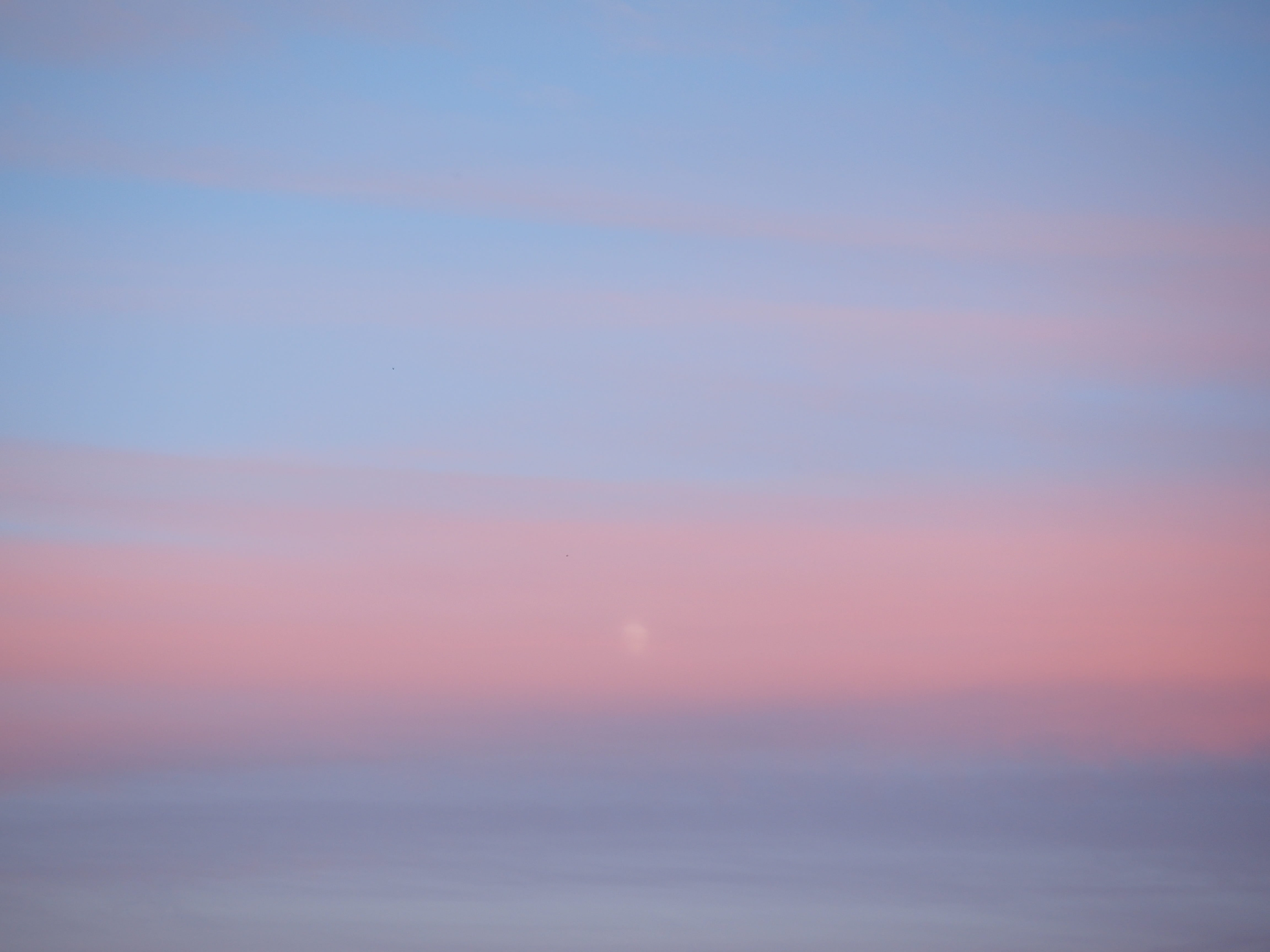 nature, pastellfarben, water, twilight, idyllic, afterglow, tranquility, blue, haze, purple, pastel tones, cloud - sky, foggy, horizon over water, sunset, HD Wallpaper