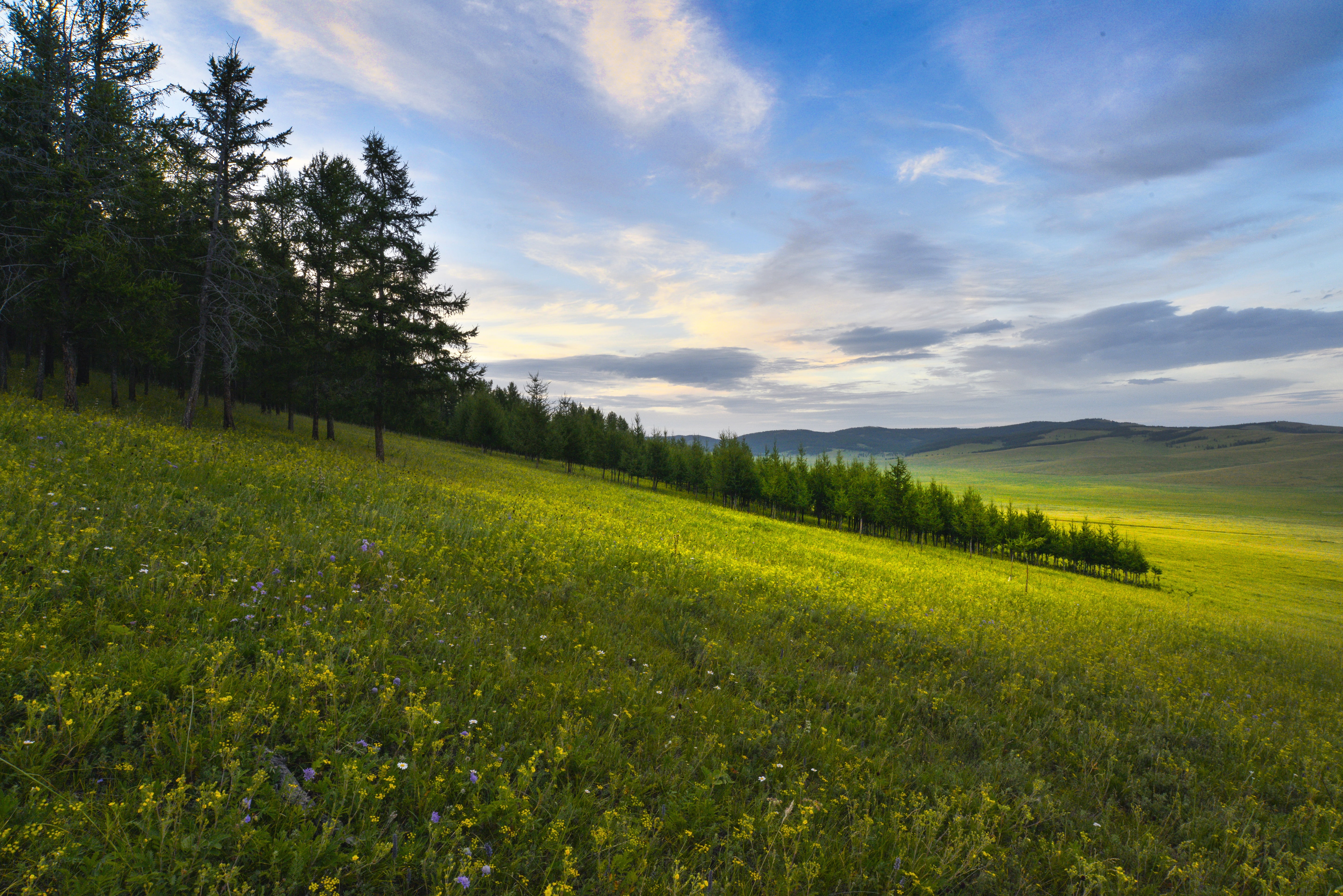 landscape, tranquil scene, sky, green, agriculture, idyllic, nature, outdoors, 7 months, scenics - nature, plant, cloud - sky, green color, beauty in nature, HD Wallpaper