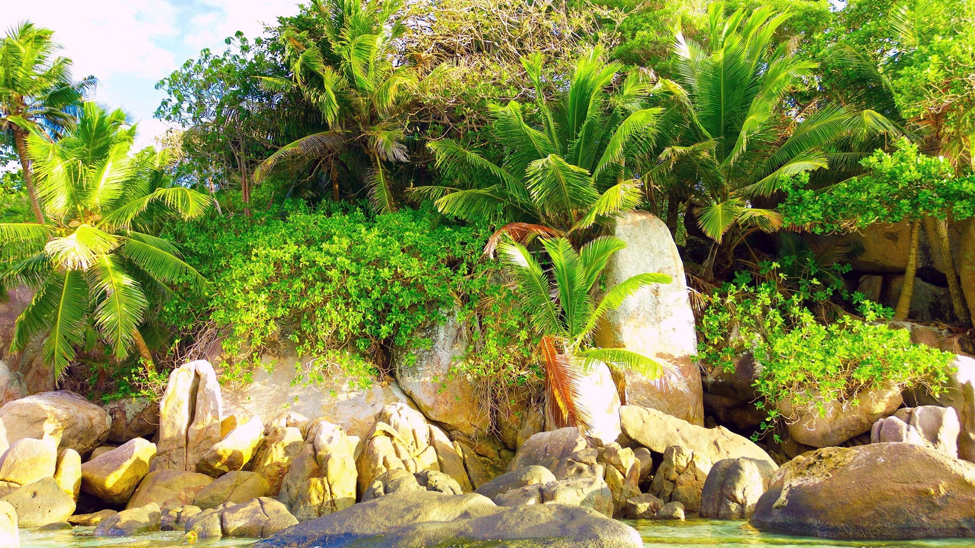 lake, travel, no people, tranquil scene, land, spring, tranquil, outdoors, flower, environment, grass, waterfall, non-urban scene, park, palm tree, 1080P, HD Wallpaper
