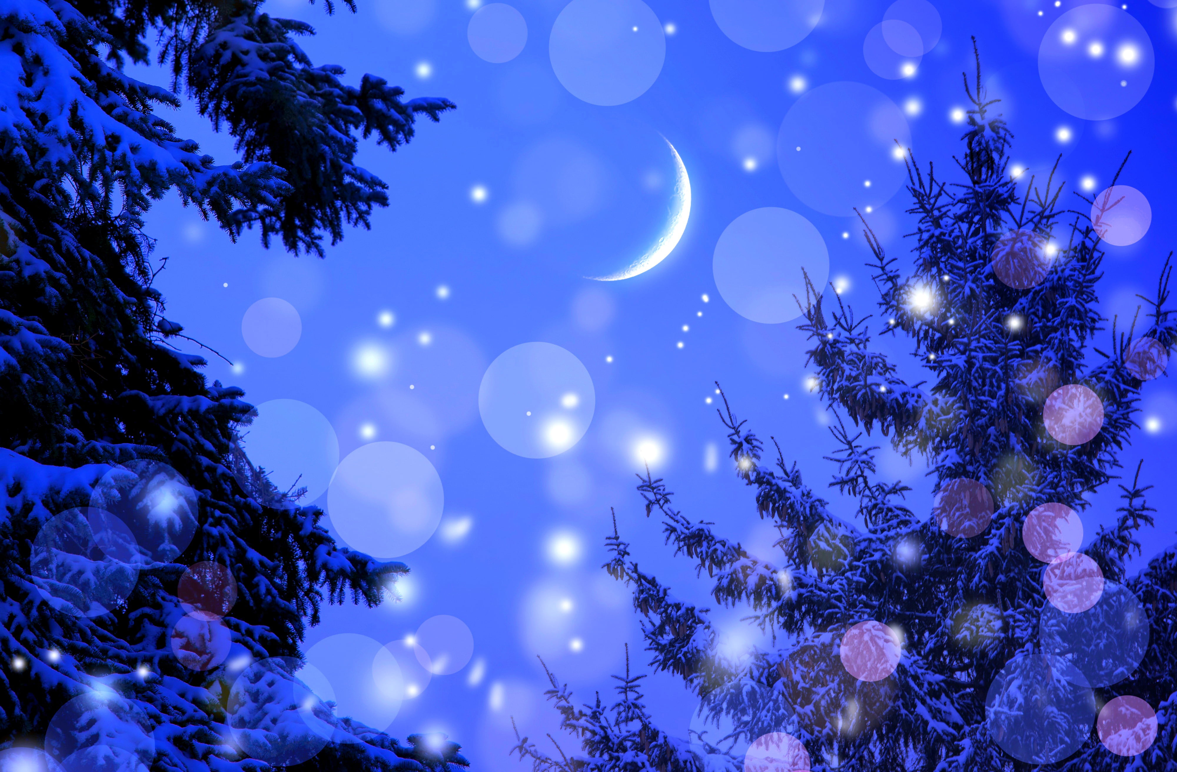 sky, glare, shiny, branch, light - Natural Phenomenon, fir Tree, christmas Decoration, holiday, backgrounds, ate, christmas Tree, winter, blue, illustration, HD Wallpaper