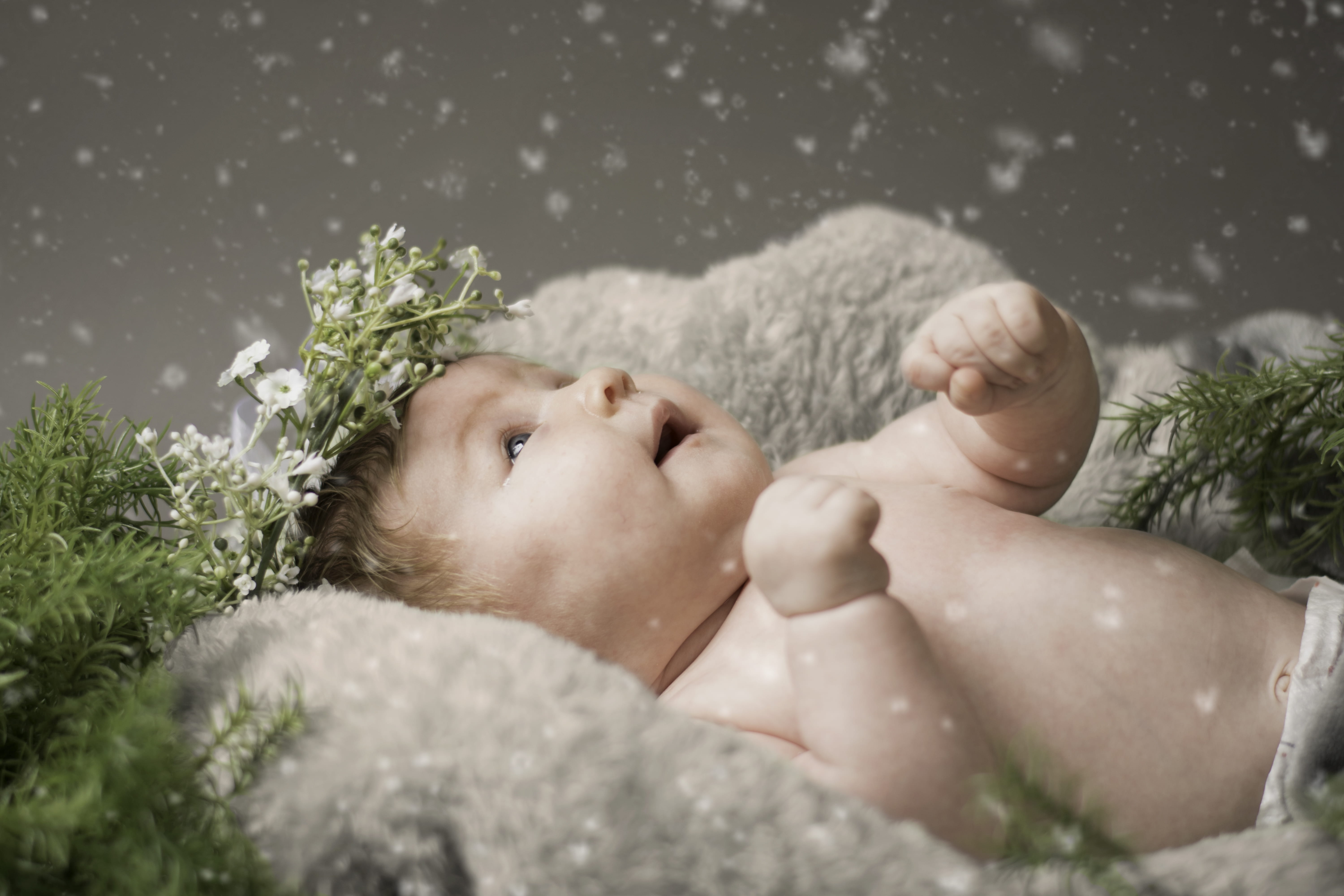baby, snowing, looking up, blanket, newborn, textile, one person, outdoors, adorable, looking, day, 5K, flower, snow, baby girl, portrait, cute, wonder, HD Wallpaper