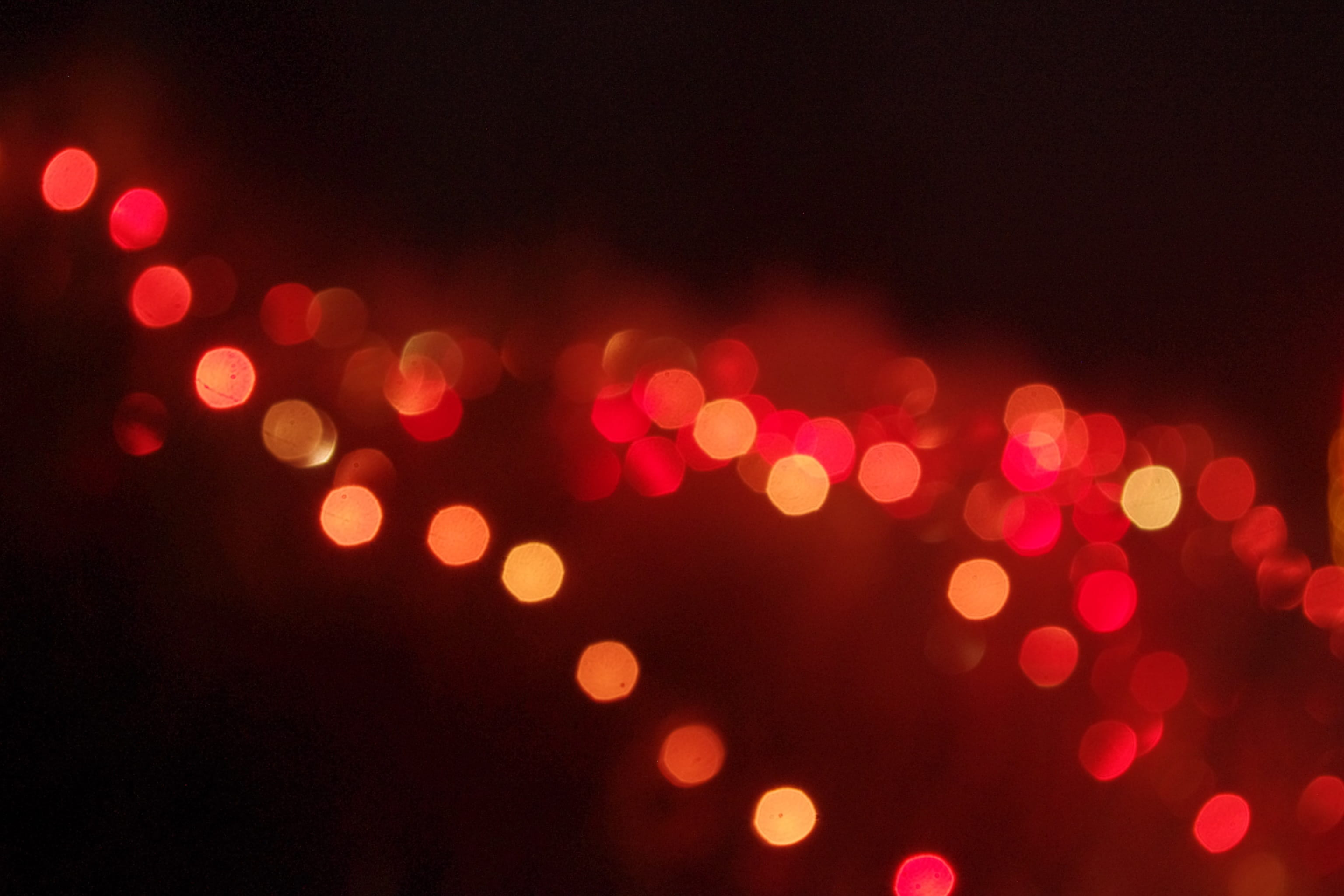 brightly lit, pattern, Winter, circle, seasonal, shape, glowing, christmas, celebration, tree, no people, multi colored, branch, nightlife, Garden, bright, HD Wallpaper
